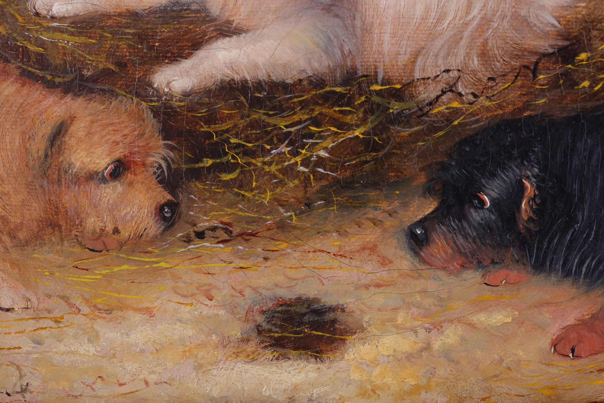 Three Terrier Dogs in a Stable Interior. Oil on Canvas by George Armfield For Sale 3