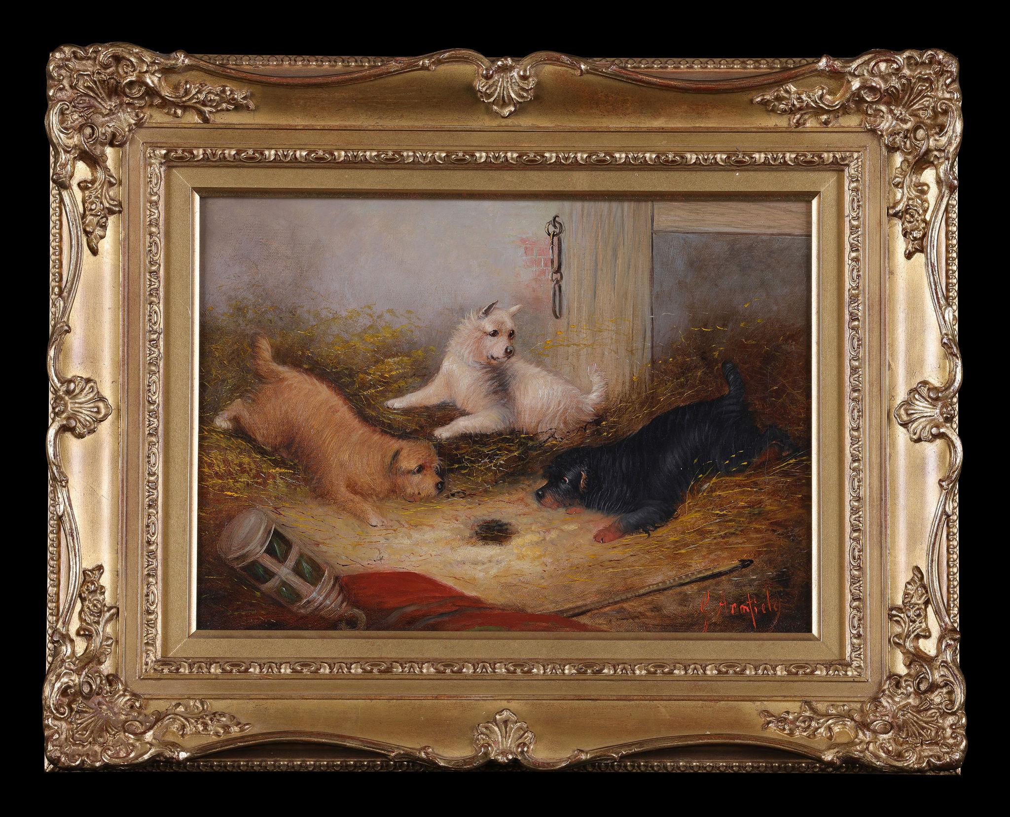 GEORGE (SMITH) ARMFIELD
This is a classic example of George Armfield's paintings with terriers.
Picture Size: 10 x 14" (25 x 35cm)
Outside Frame Size: 16 x 20" (40 x 50cm)

Exhibition Period 1836 – 1875
He was born and worked in London
He was a