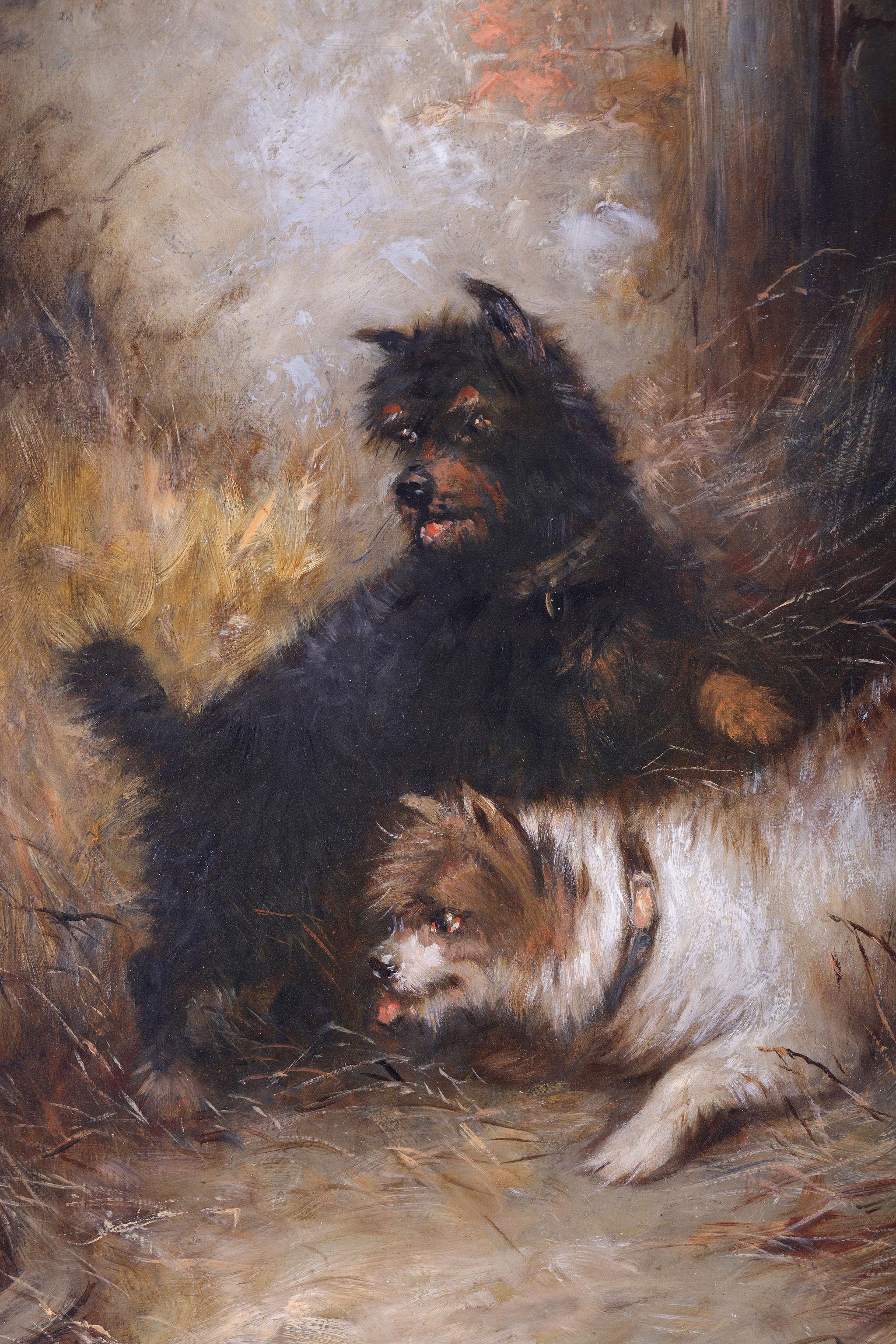 Two Terriers in a Barn - Victorian Painting by George Armfield