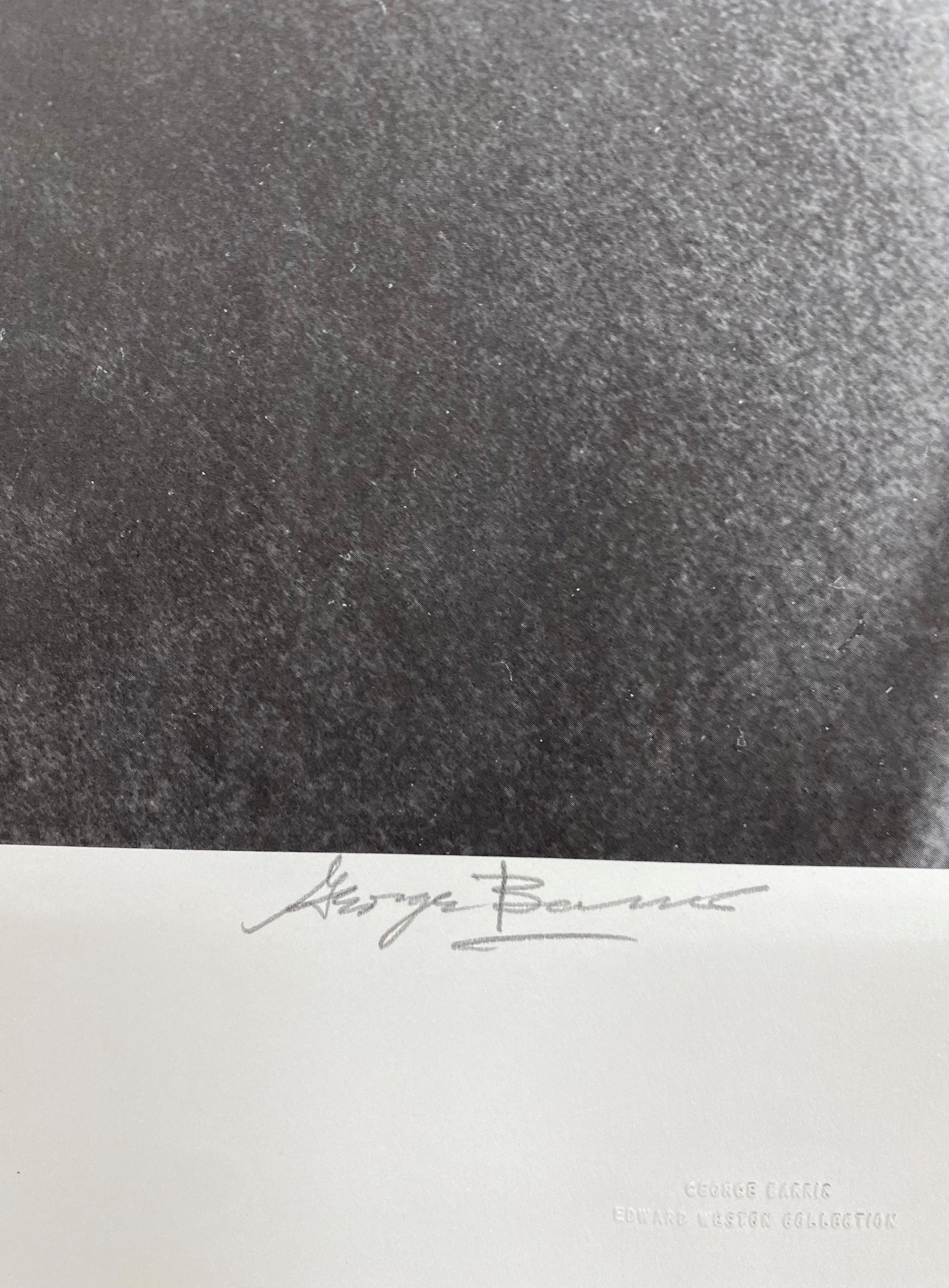 This photograph of Marilyn was taken at the Hollywood Hills home of Tim Leimert 2 1/2 weeks before Marilyn's death. Photolithograph taken from original negative. Published by Edward Weston Fine Art, Los Angeles, 1987. Edition of 325 signed and