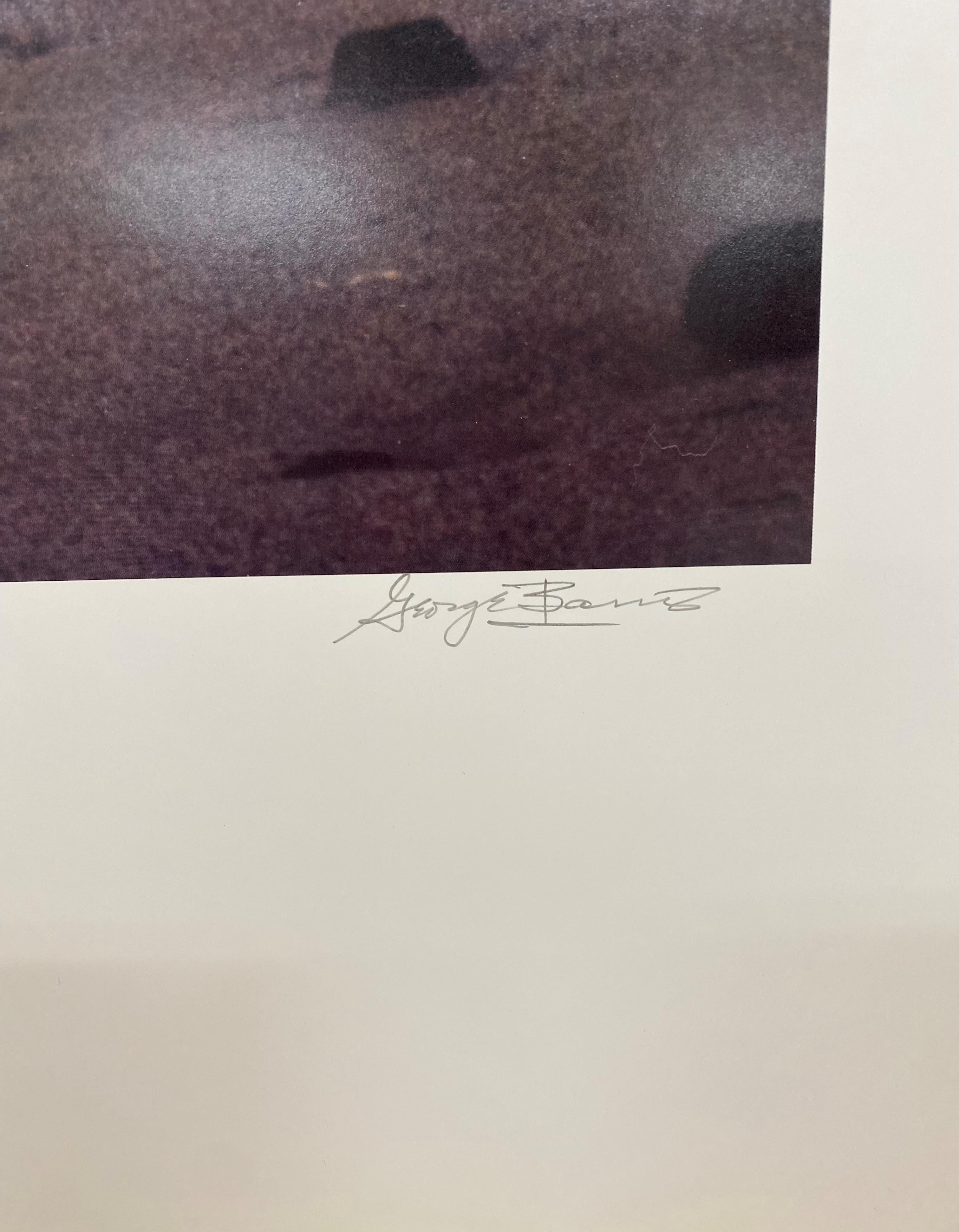 George Barris, „Chilly Wind“, Fotolithographie, handsigniert im Angebot 1