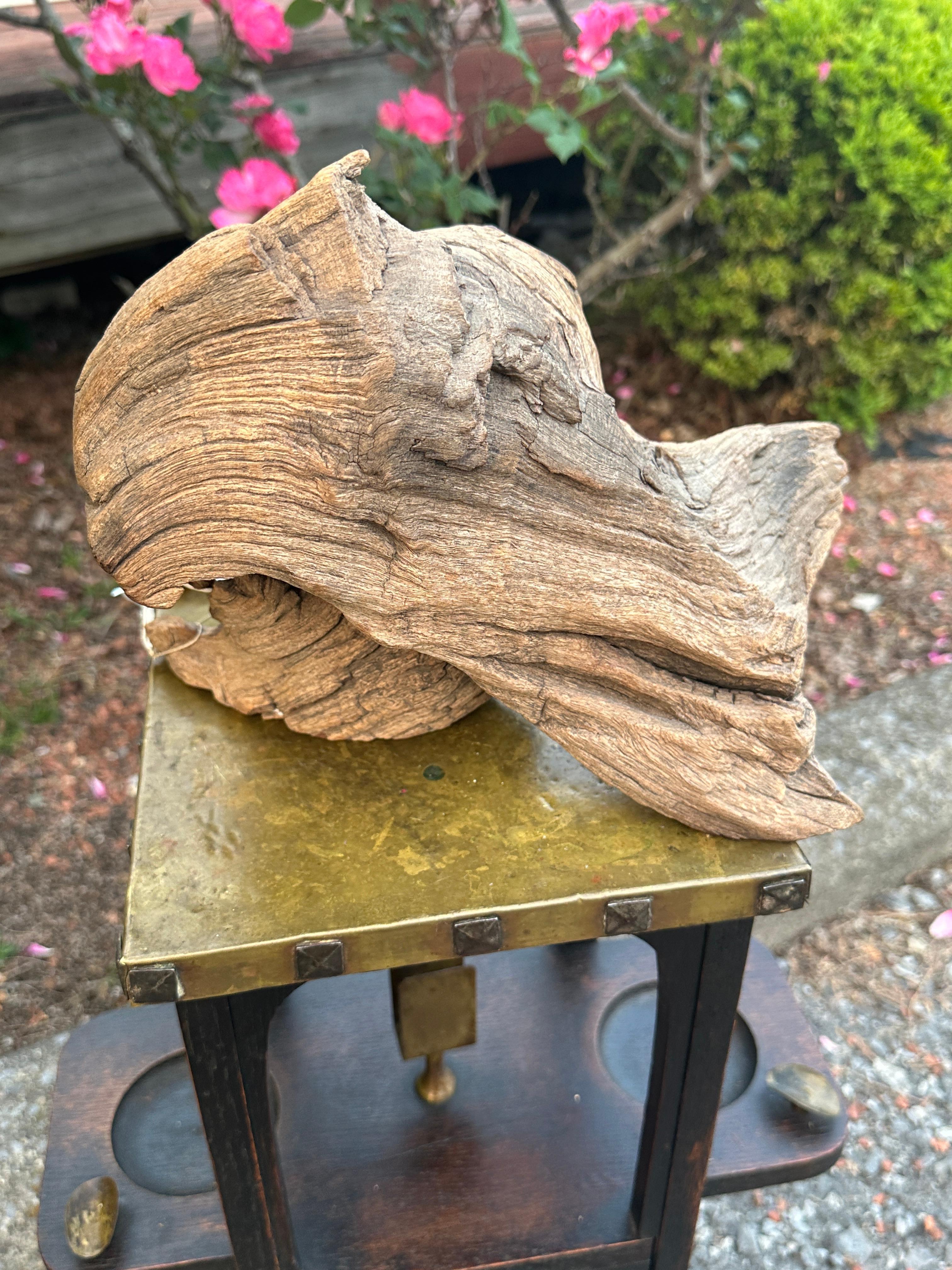 Wood George Beach 20th Century Native American Carving 
