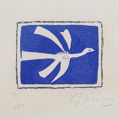 Août (Oiseau en vol)