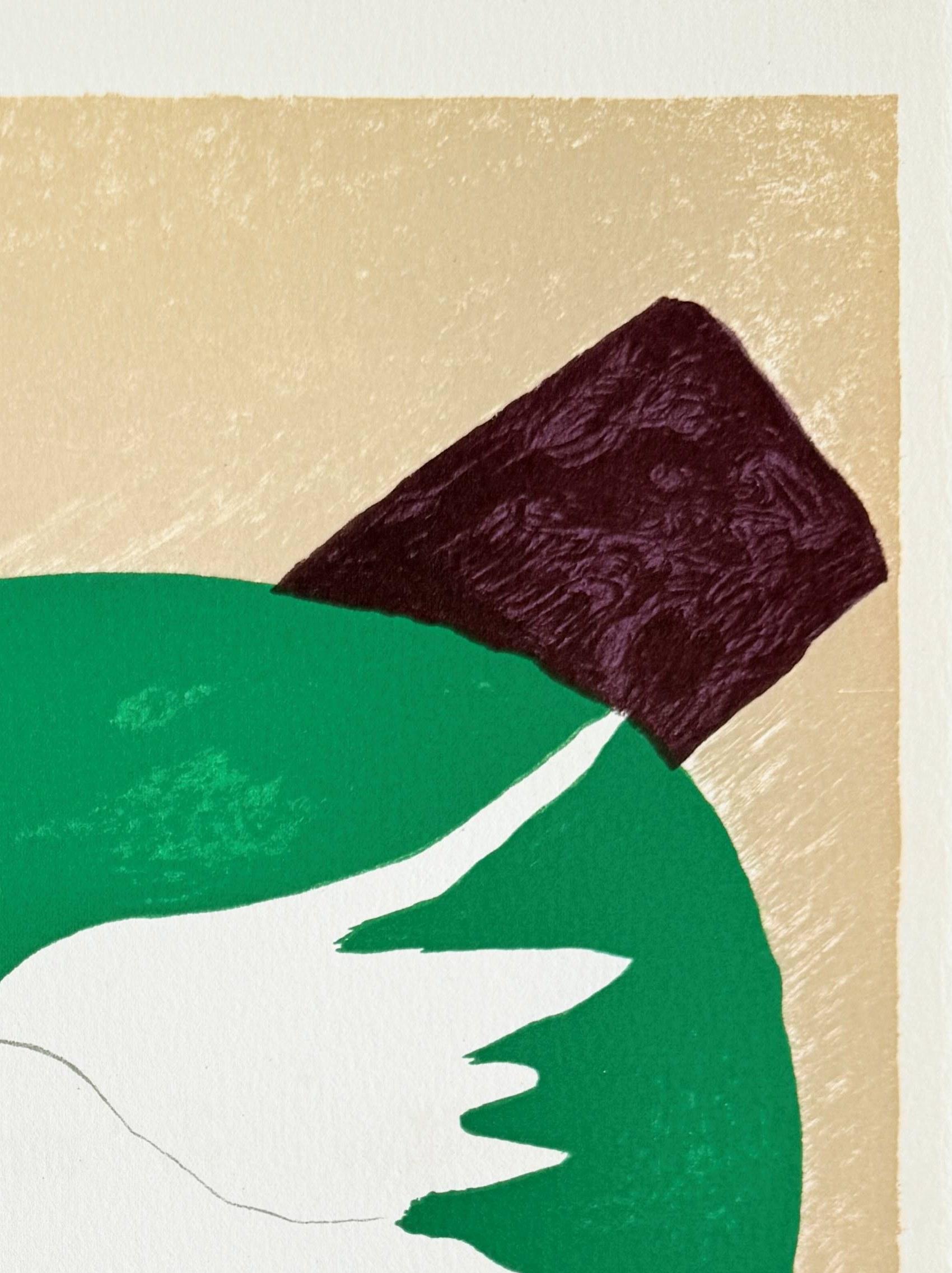 Colombe sur fond vert - Print Moderno di George Braque