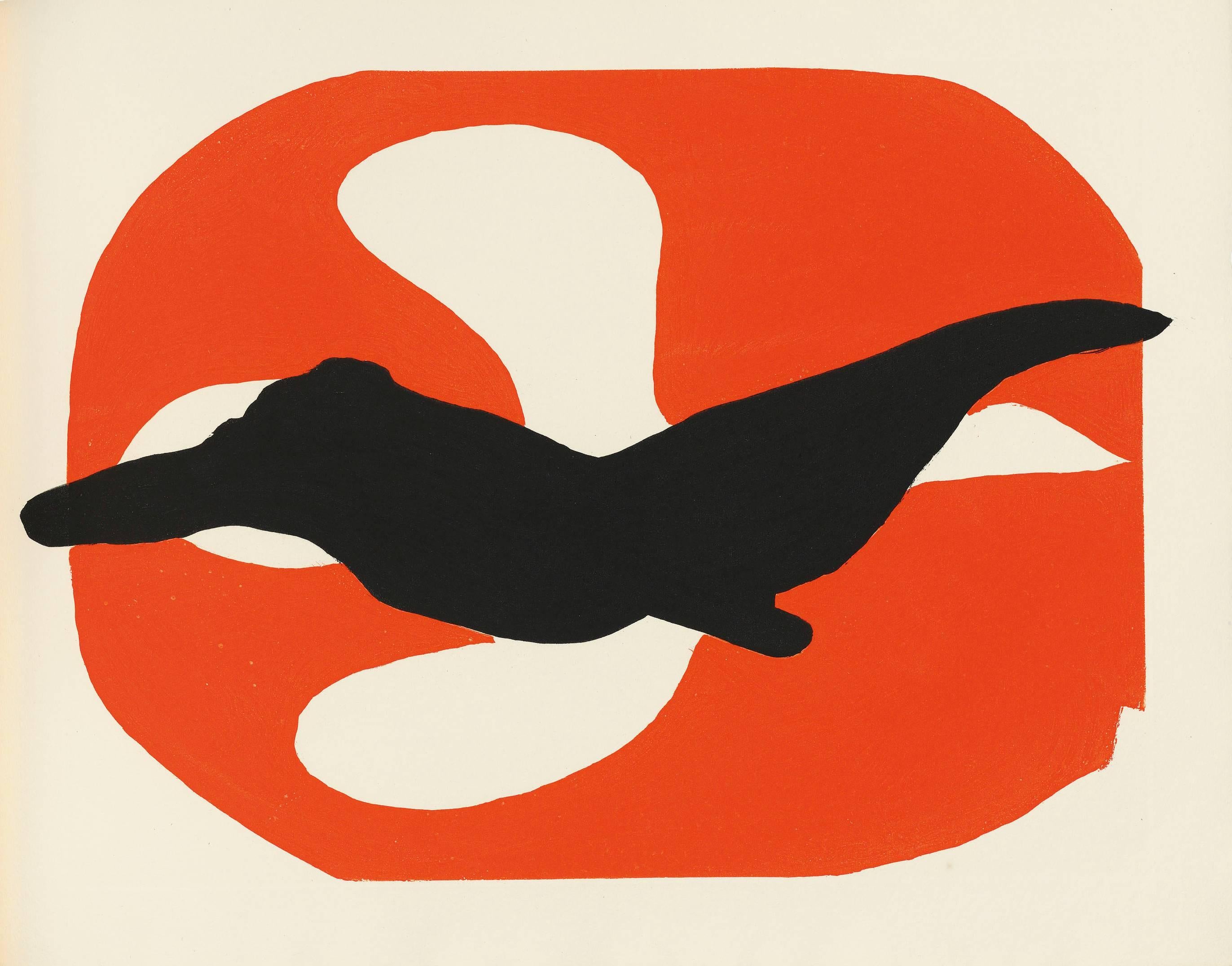 El orden de las aves en venta 5