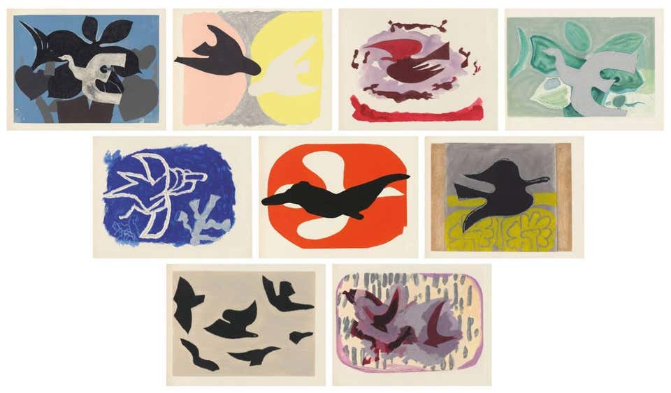 L'ordre des oiseaux
