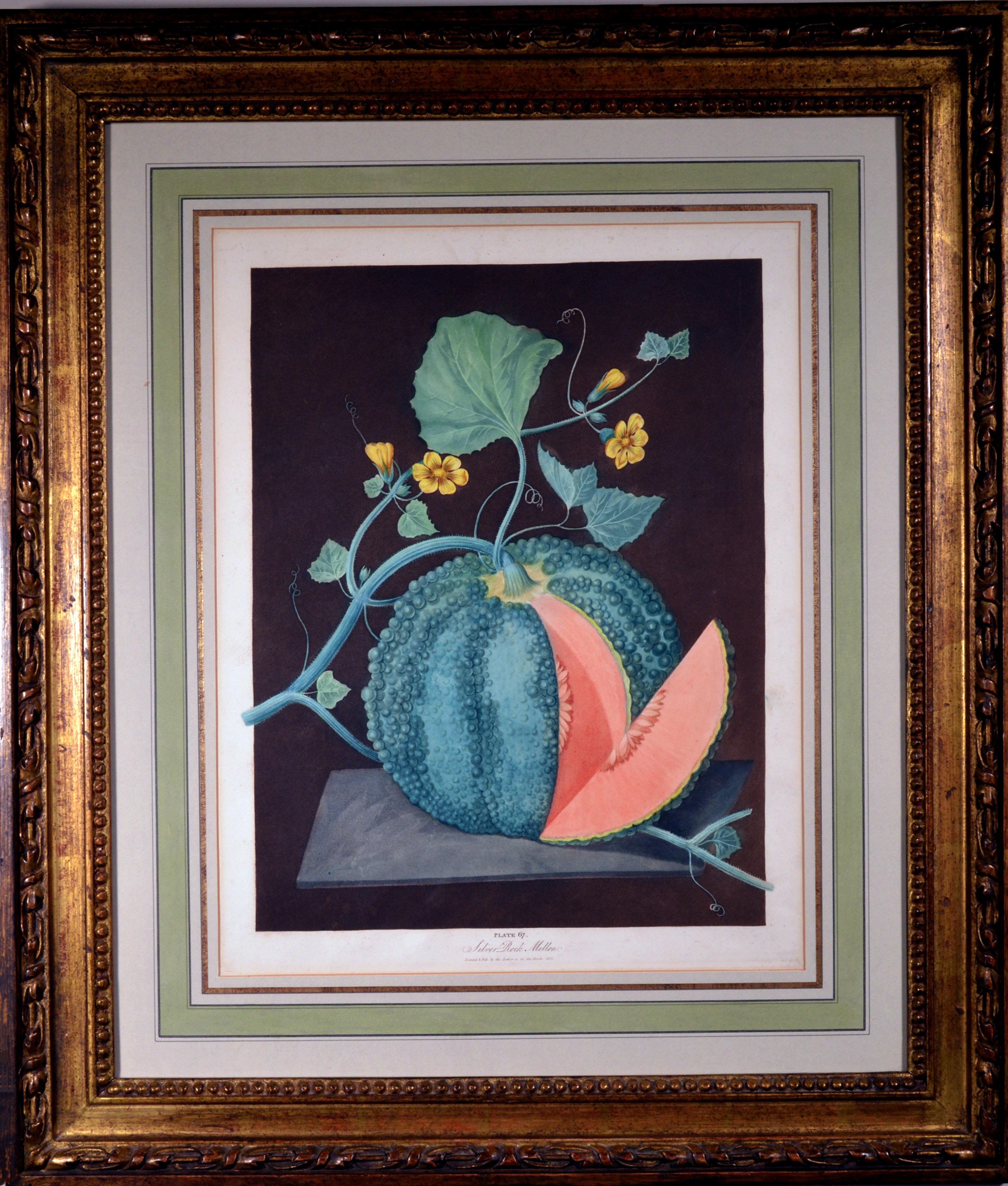 Regency George Brookshaw Pair of Engravings of Melons, Plates 66 and 67