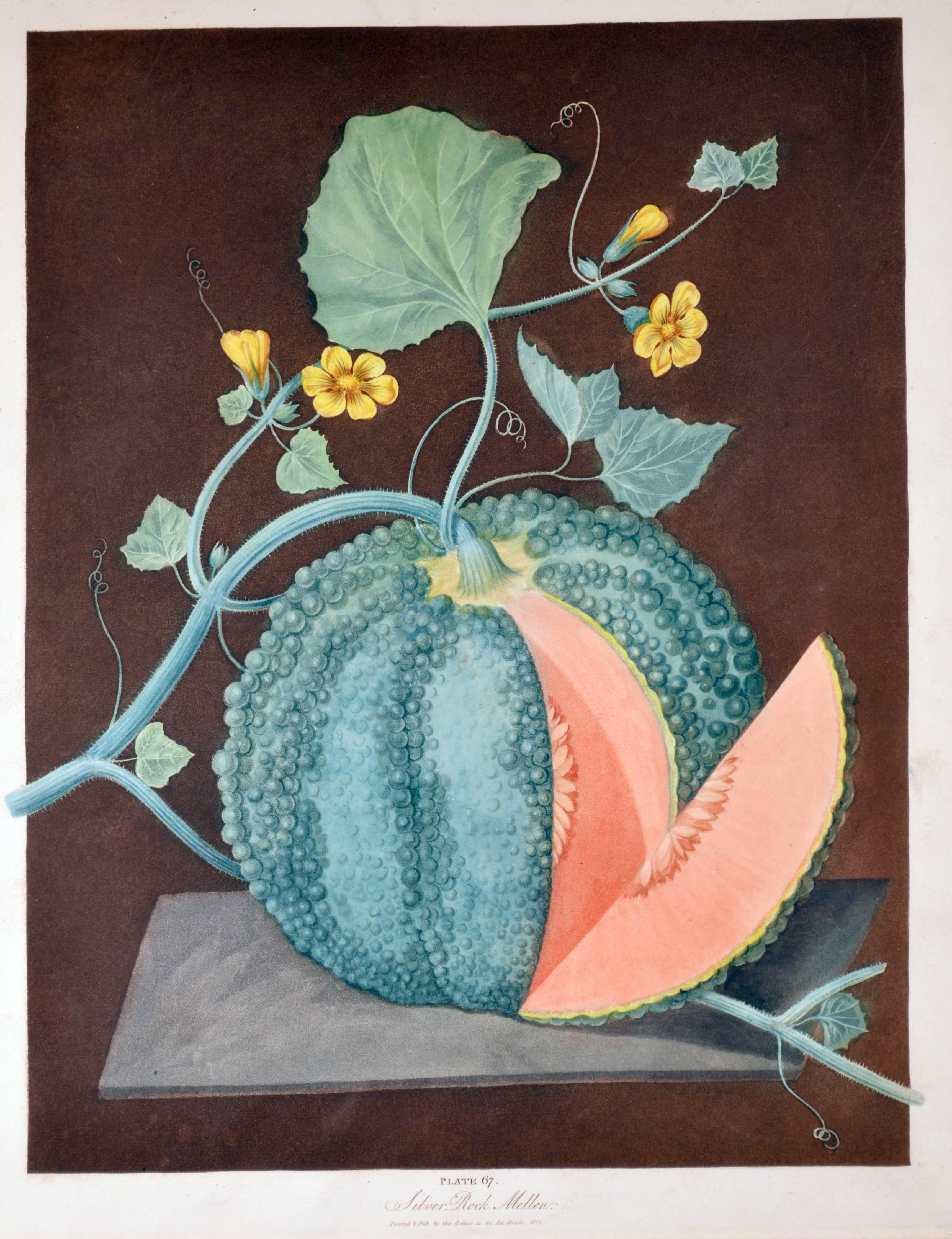 19th Century George Brookshaw Pair of Engravings of Melons, Plates 66 and 67