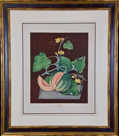 "Melone Amicua" Incisione a colori rifinita a mano da george brookshaw