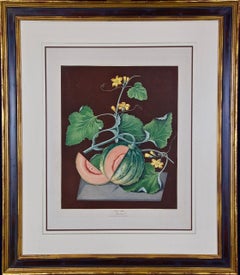 Used "Amicua Melon" Hand Finished Color Engraving by George Brookshaw