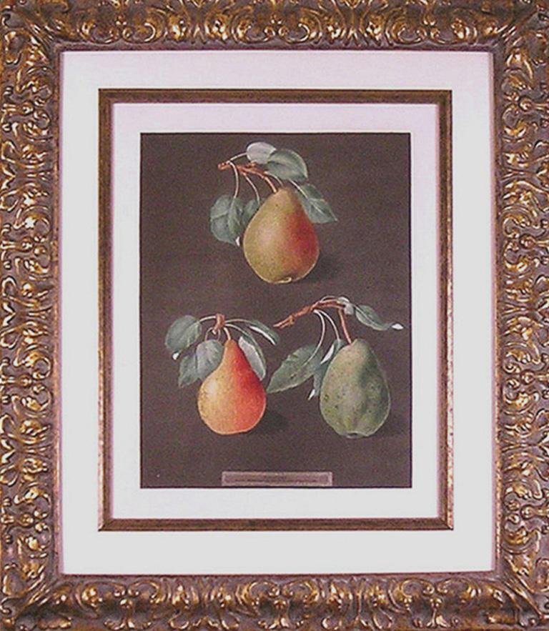 george pears