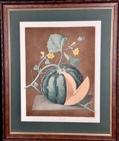 Melone d'argento: Un'incisione a colori incorniciata del XIX secolo di George brookshaw
