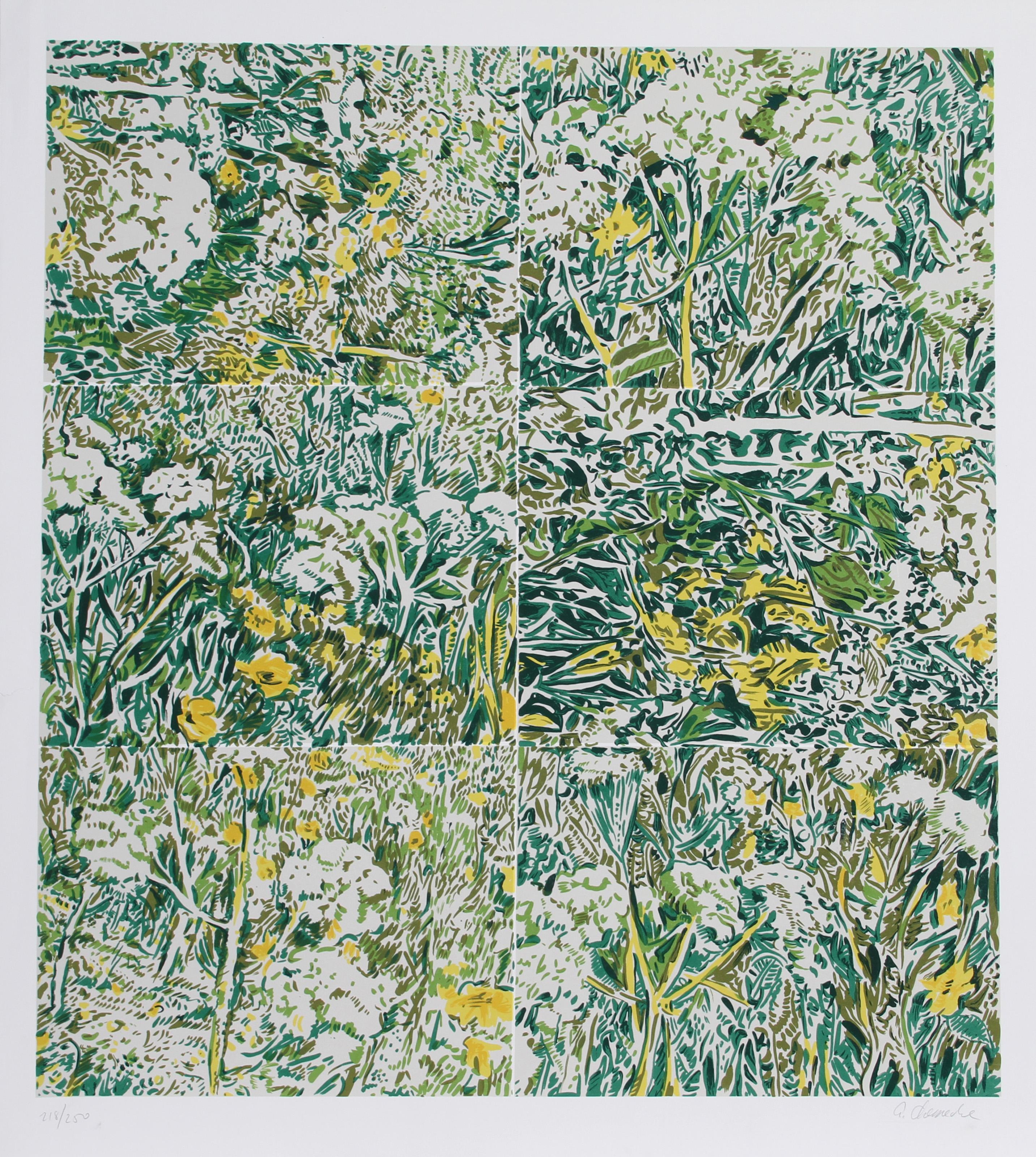 Composed Field III, Contemporary Lithograph by George Chemeche