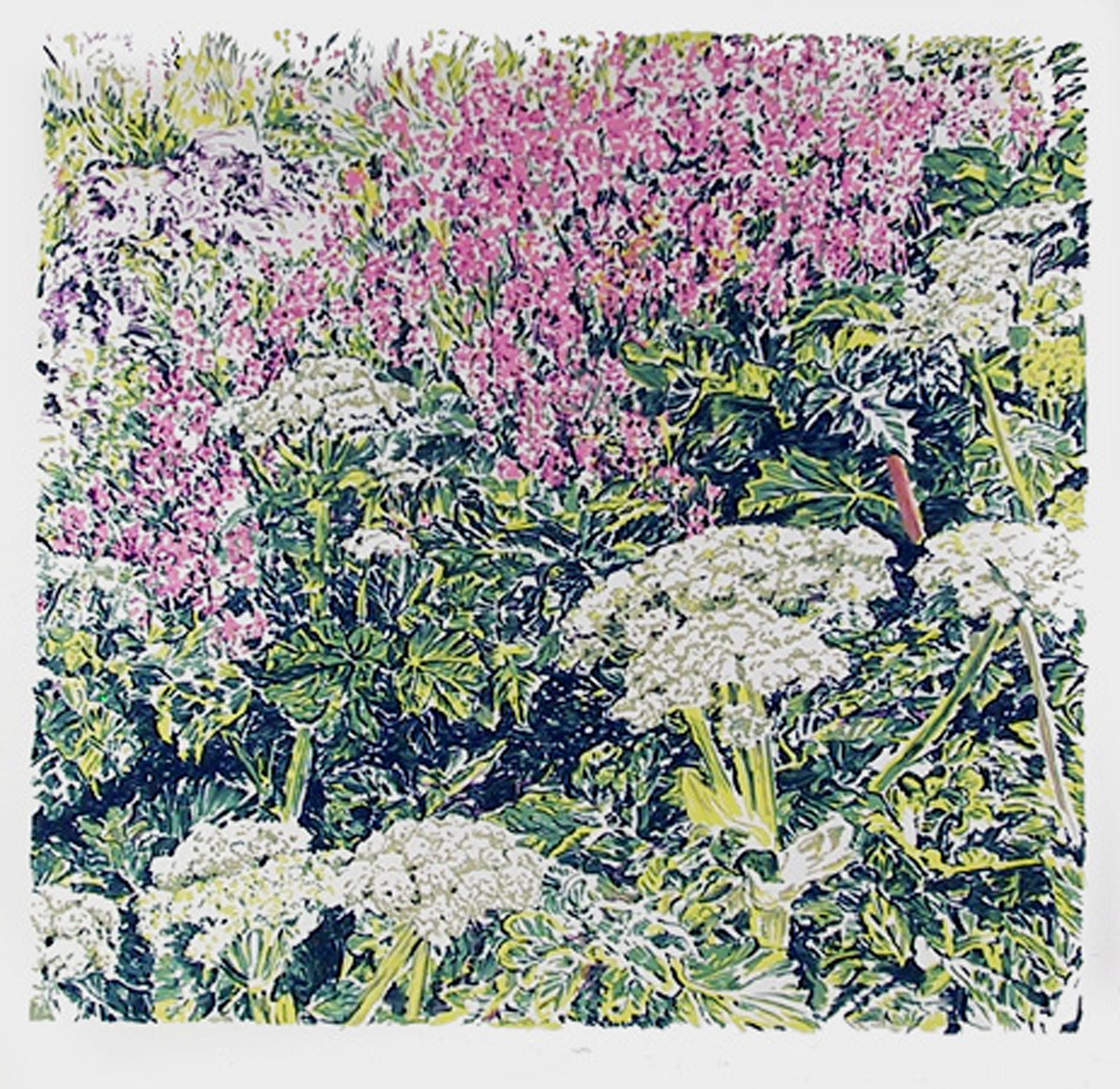 George Chemeche, Iraqi/American (1934 - ) - Cow Parsnip, Year:  1979, Medium:  Screenprint, signed and numbered in pencil, Edition:  260, Size:  36.5 in. x 32.5 in. (92.71 cm x 82.55 cm)