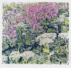 Cow Parsnip, Contemporary Screenprint by George Chemeche