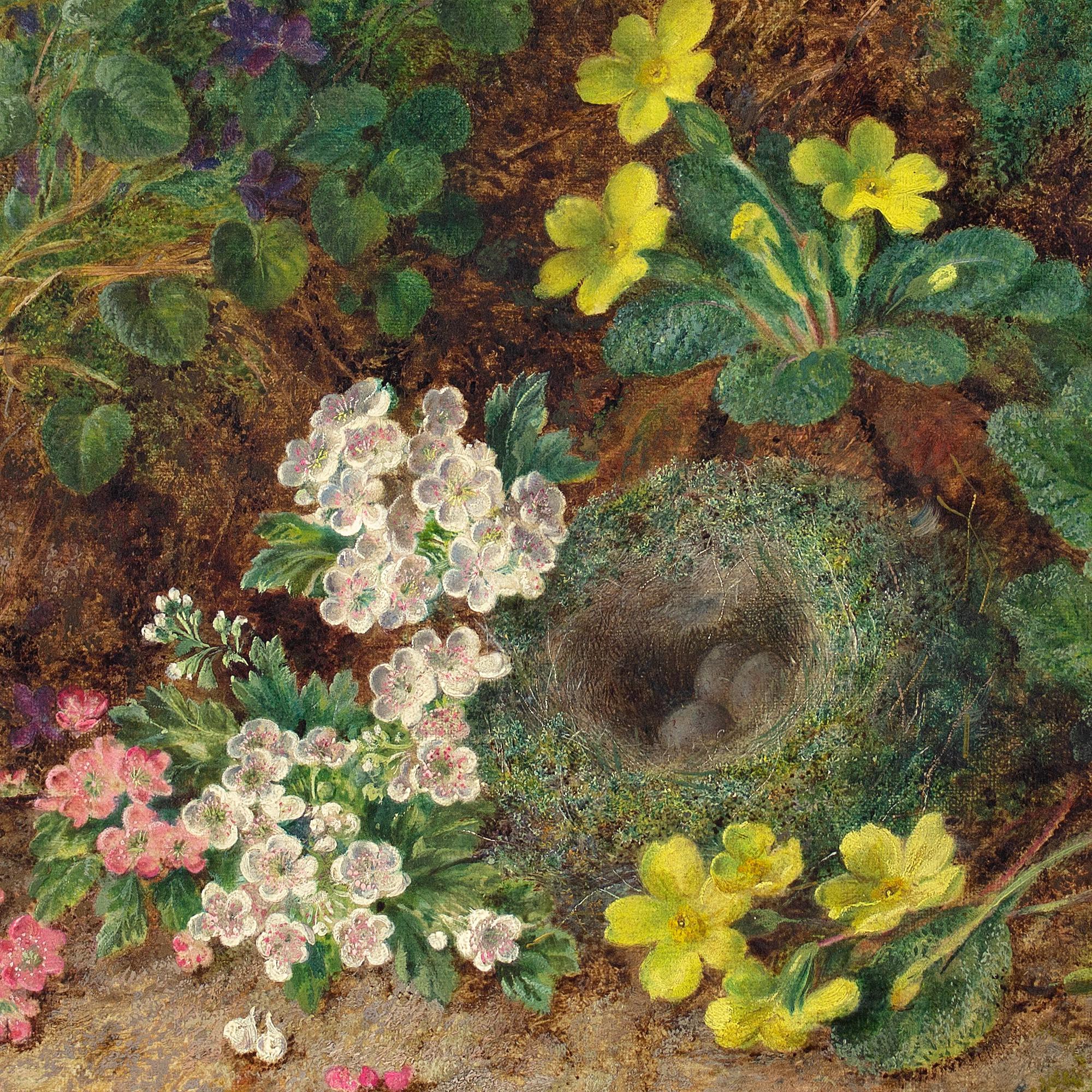 George Clare, Still Life With Primroses, Bird’s Nest & Mossy Bank 3