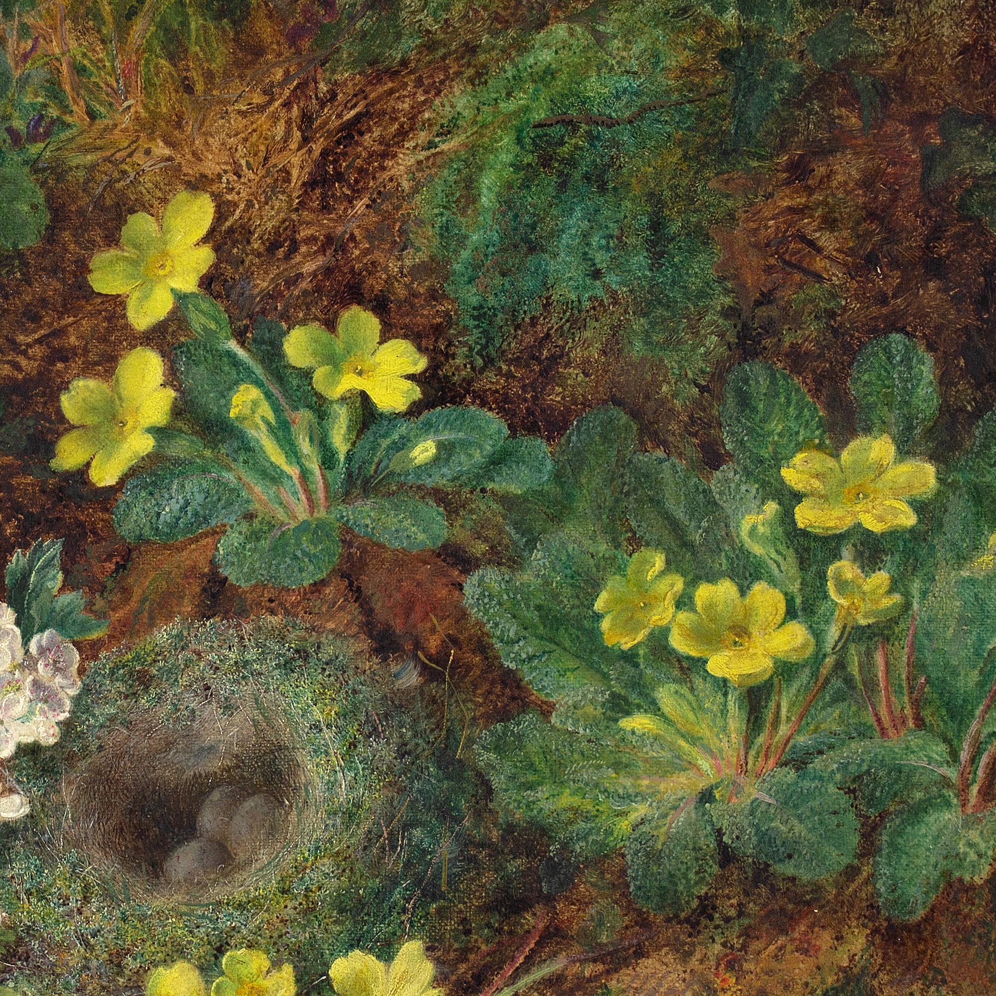 George Clare, Still Life With Primroses, Bird’s Nest & Mossy Bank 4