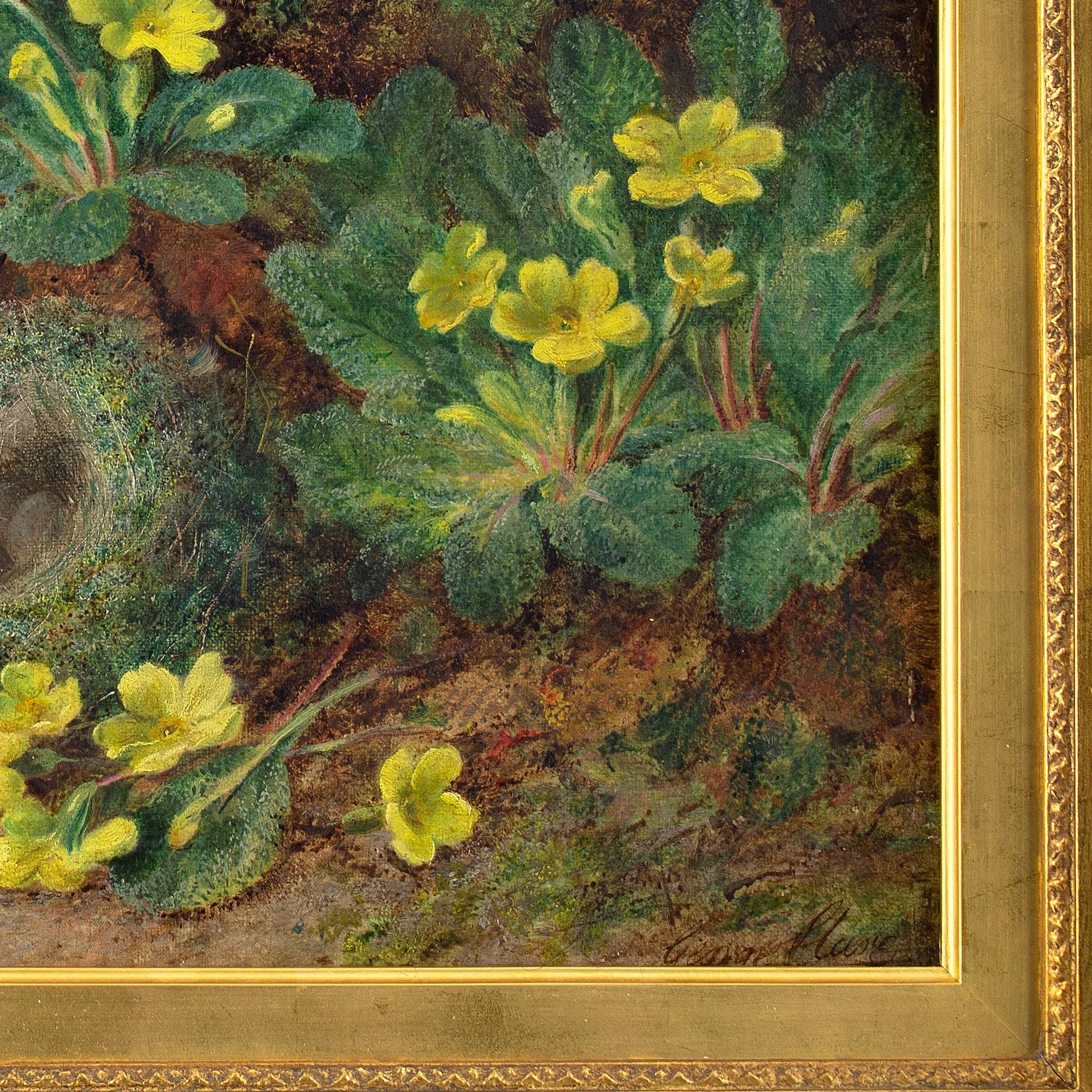 George Clare, Still Life With Primroses, Bird’s Nest & Mossy Bank 5