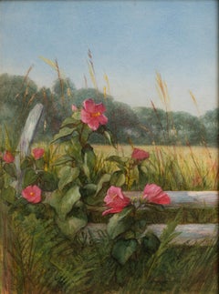 Swamp Rose-Mallow by a Fence