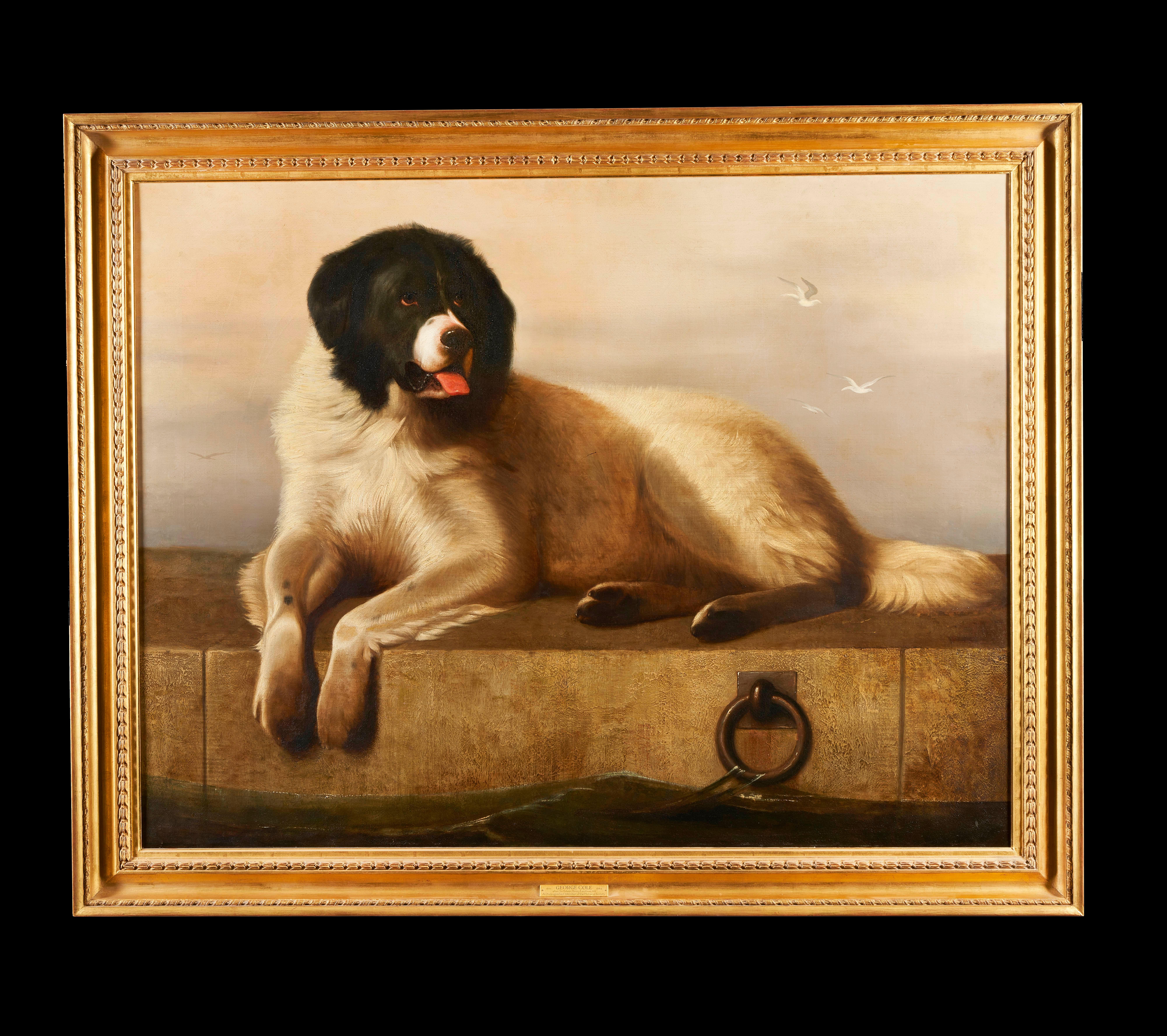 A distinguished member of the Humane Society