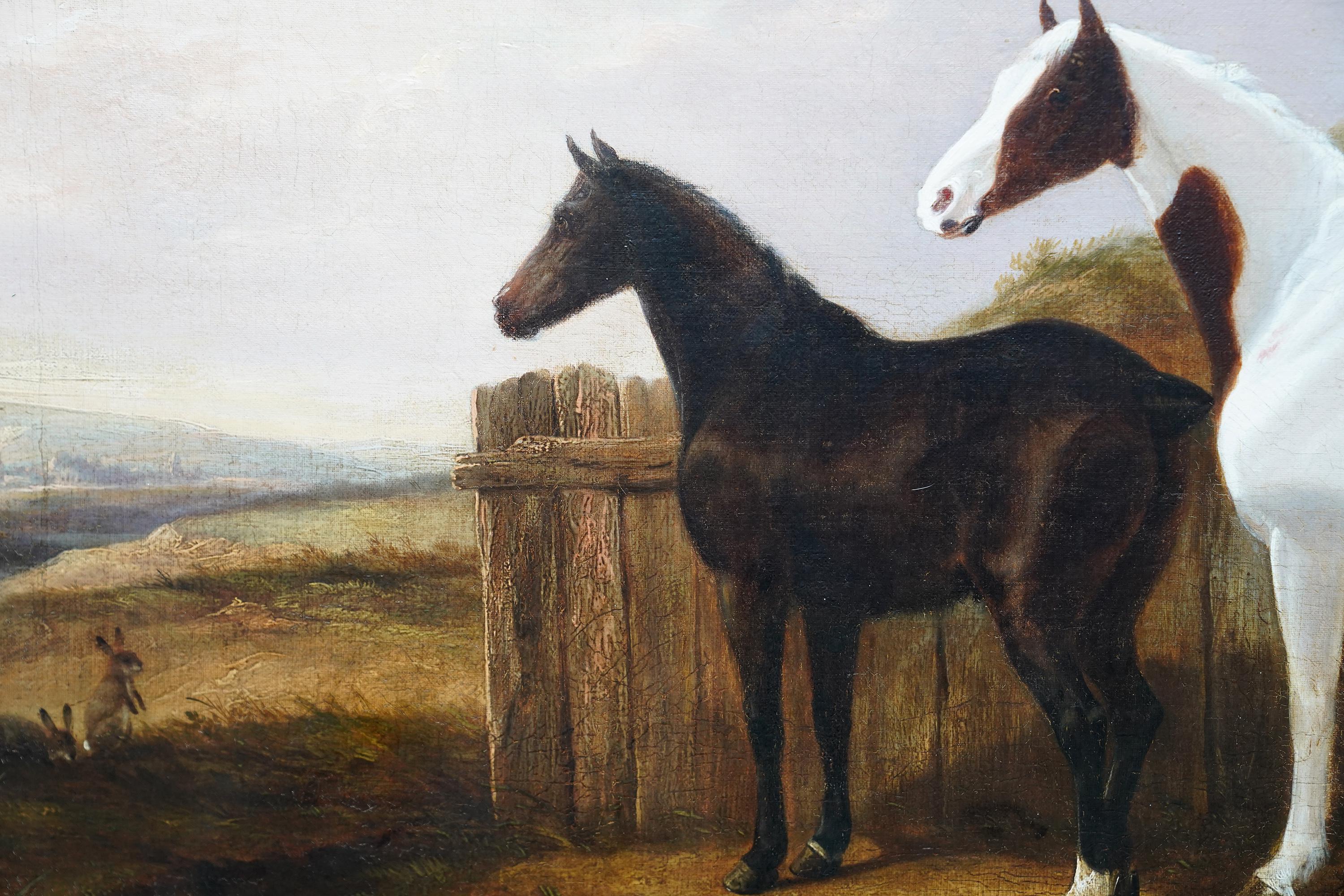 Cette charmante peinture à l'huile britannique de l'époque victorienne est attribuée à l'artiste paysagiste et animalier George Cole et inscrite au verso. Peint en 1840, il s'agit d'un superbe portrait de deux chevaux, l'un brun foncé, l'autre pie.