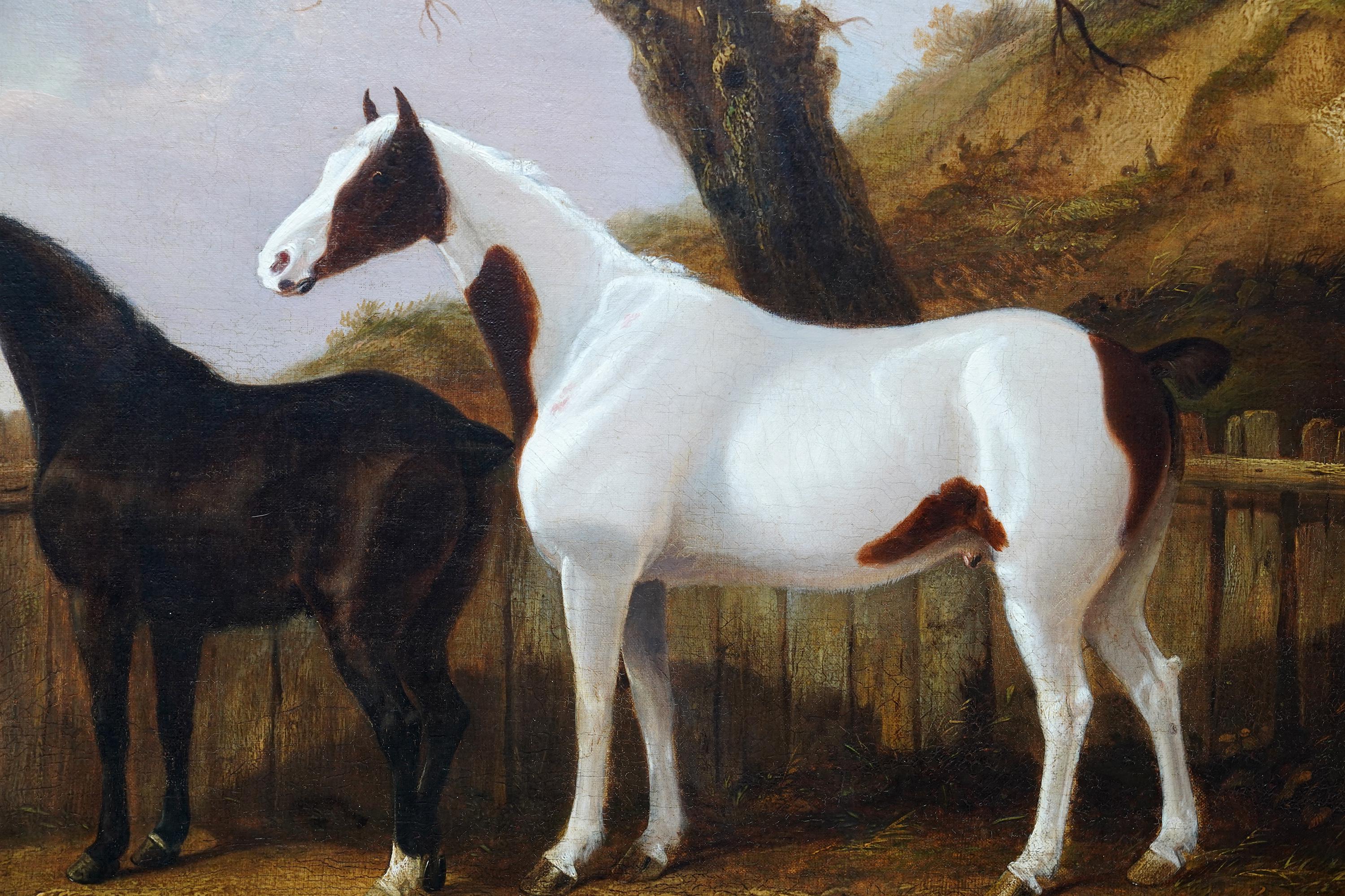 Portrait de deux chevaux dans un paysage - Peinture à l'huile d'art équestre britannique du 19e siècle en vente 1