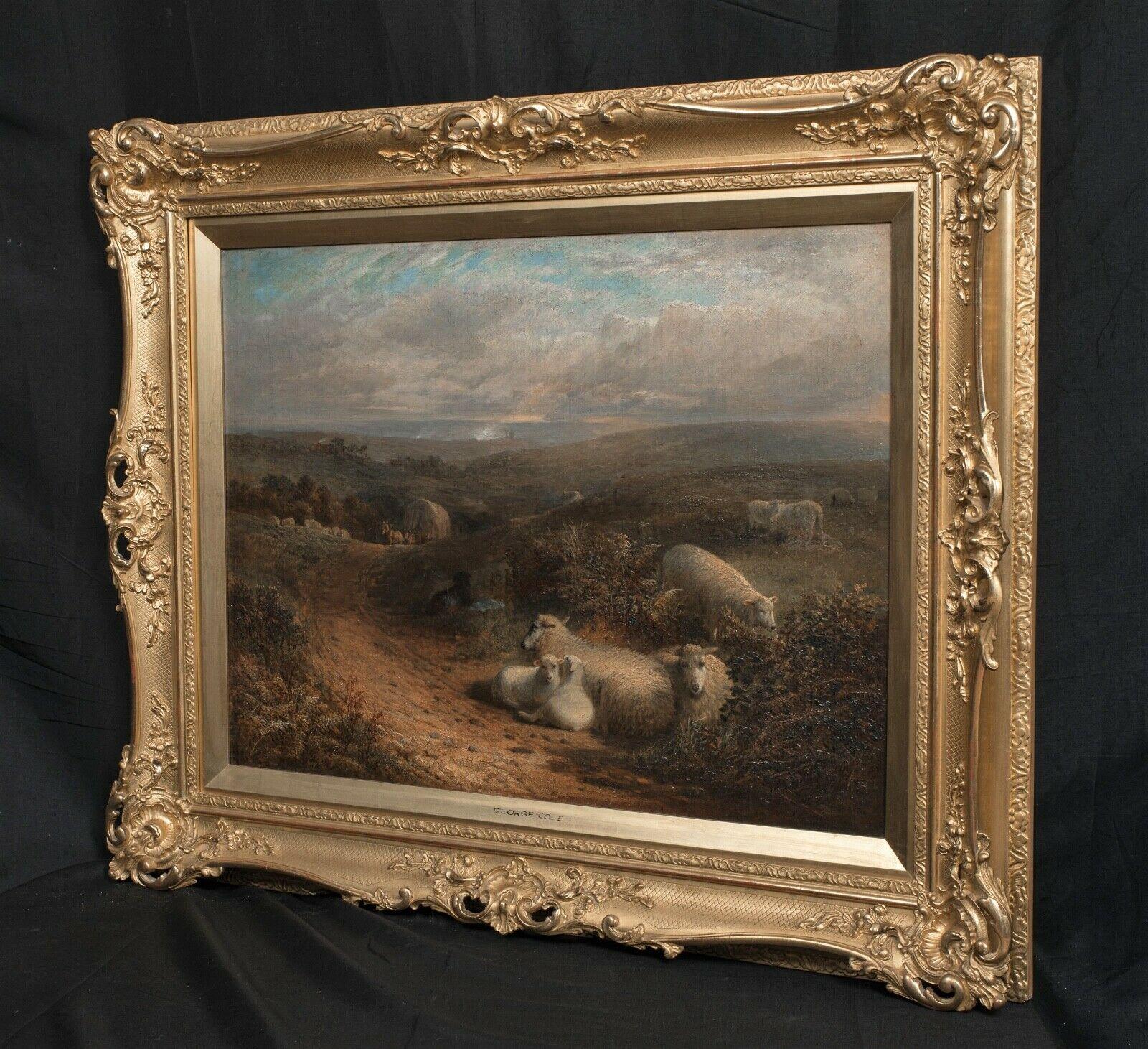 Sheep Resting In A Landscape, Near Guildford, Surrey, 19th Century  - Painting by George Cole