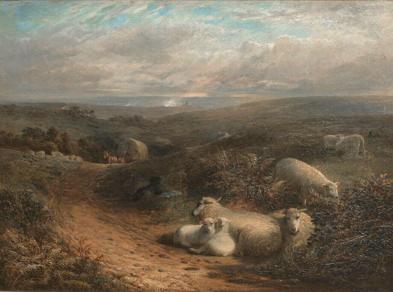 Portrait Painting di George Cole - Pecore che riposano in un paesaggio, vicino a Guildford, Surrey, XIX secolo