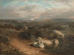Antique Sheep Resting In A Landscape, Near Guildford, Surrey, 19th Century 