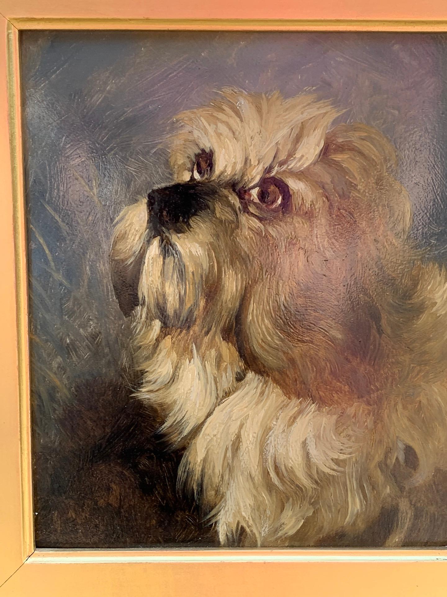 dandie dinmont terrier prezzo
