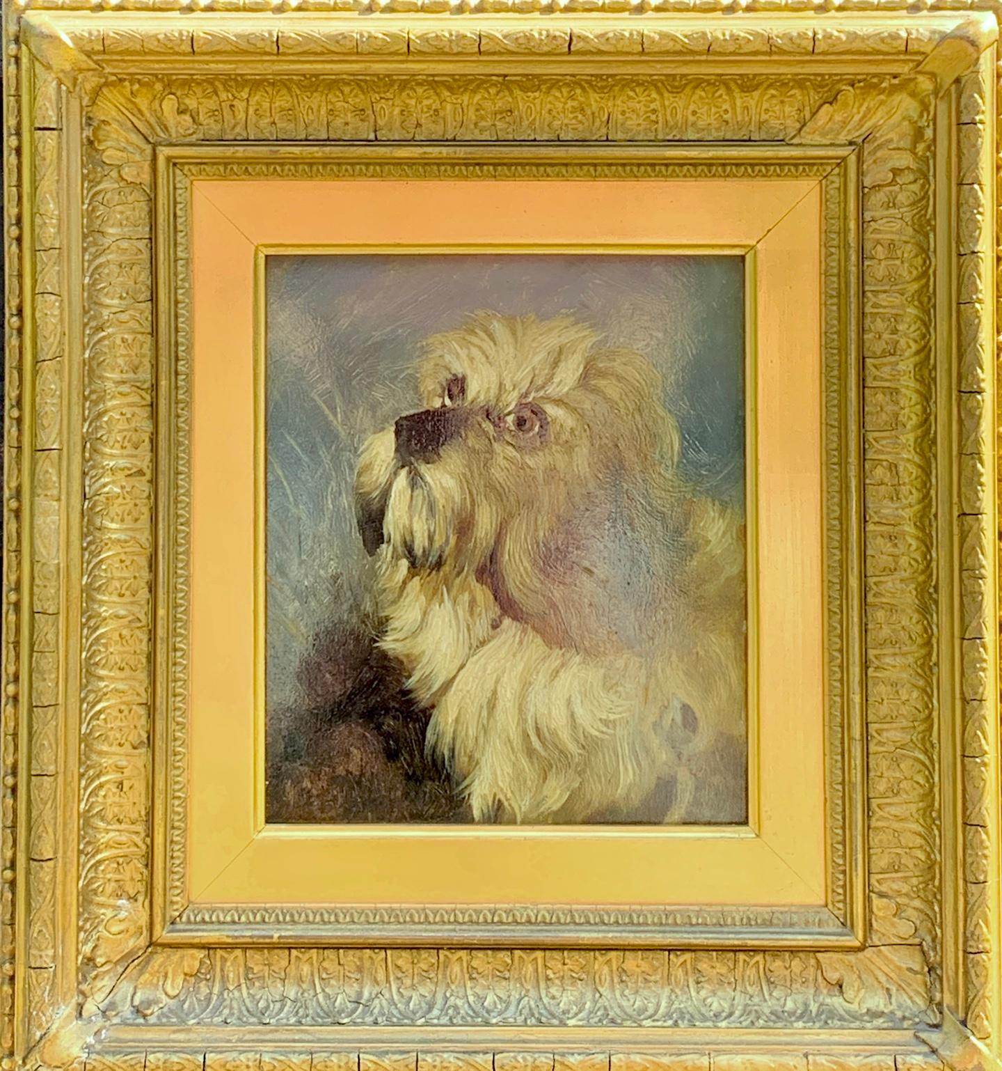 19th century English dog portrait of a Dandie Dinmont Terrier looking up 