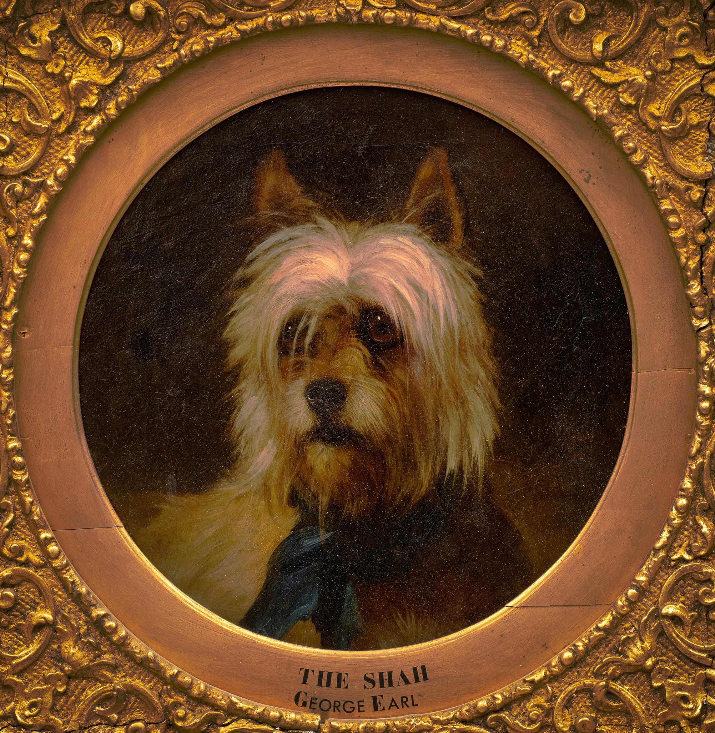 Antique Dog Painting of a Terrier: “The Shah” 
George Earl (England, 1824-1908)
Circa 1870
Oil on canvas.
12 ¾ x 12 ¾ (21 x 21 frame) inches.
Original ornate gilt stucco frame.

Superb animal painting by George Earl, a great specialist in the genre.