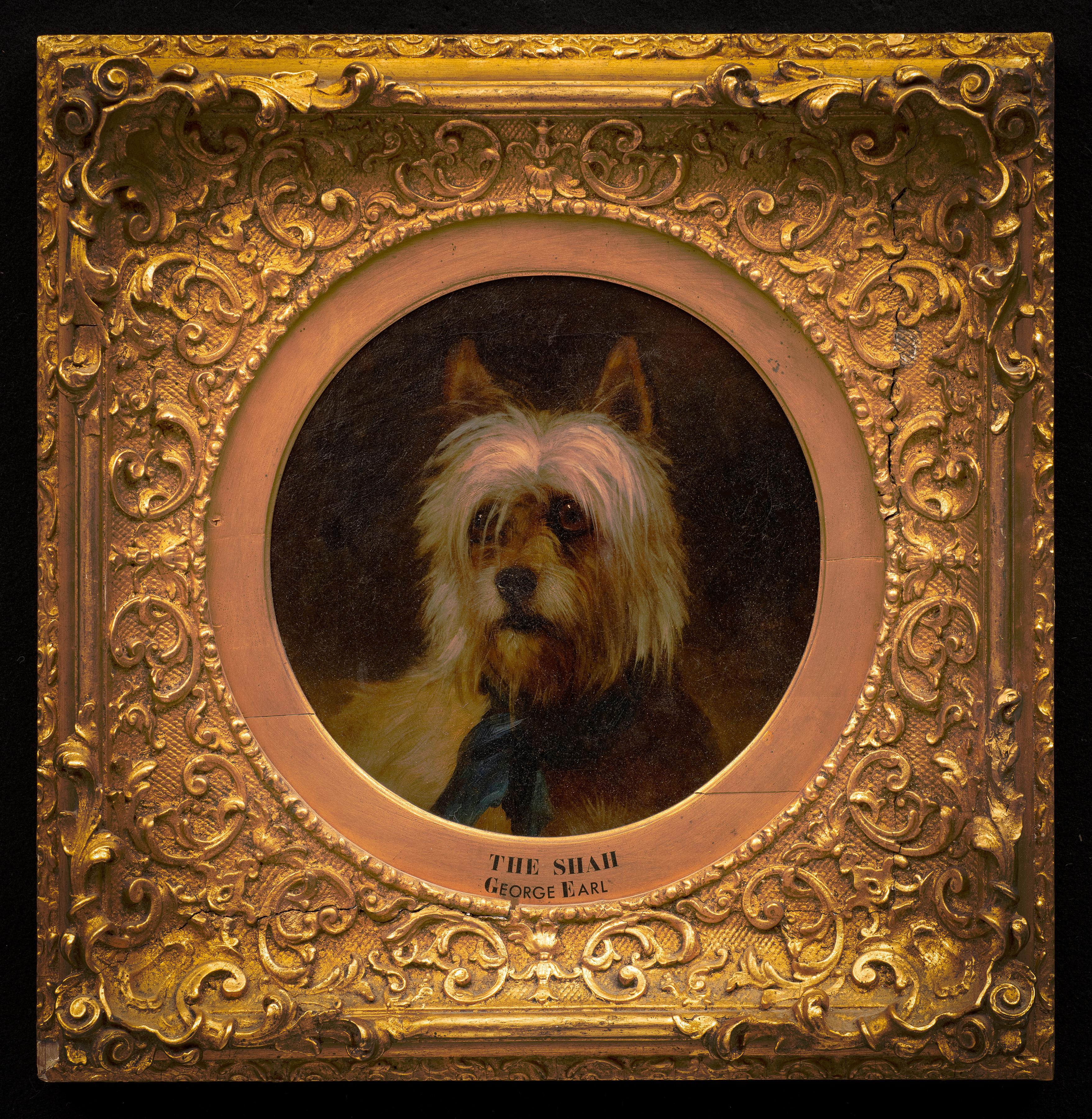 Antique Dog Painting of a Terrier: “The Shah” 
George Earl (England, 1824-1908)
Circa 1870
Oil on canvas.
12 ¾ x 12 ¾ (21 x 21 frame) inches.
Original ornate gilt stucco frame.

Superb animal painting by George Earl, a great specialist in the genre.