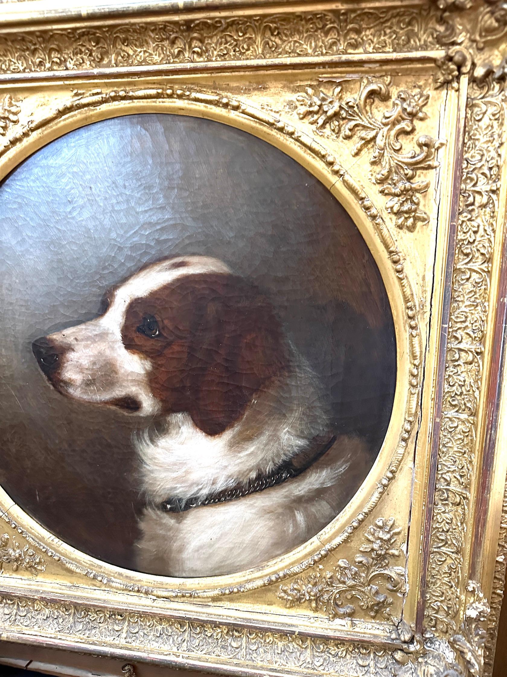 English Victorian 19th century portrait of a brown and white Spaniel dog For Sale 2