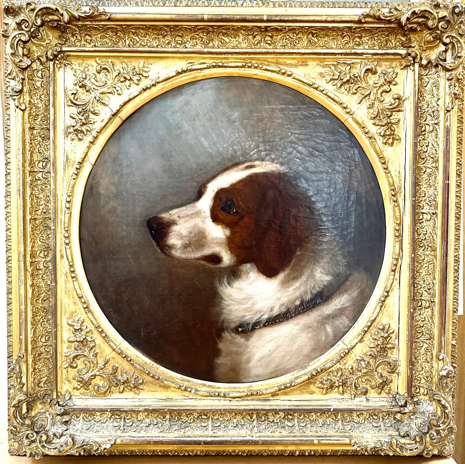 Portrait victorien anglais du 19e siècle d'un chien épagneul brun et blanc