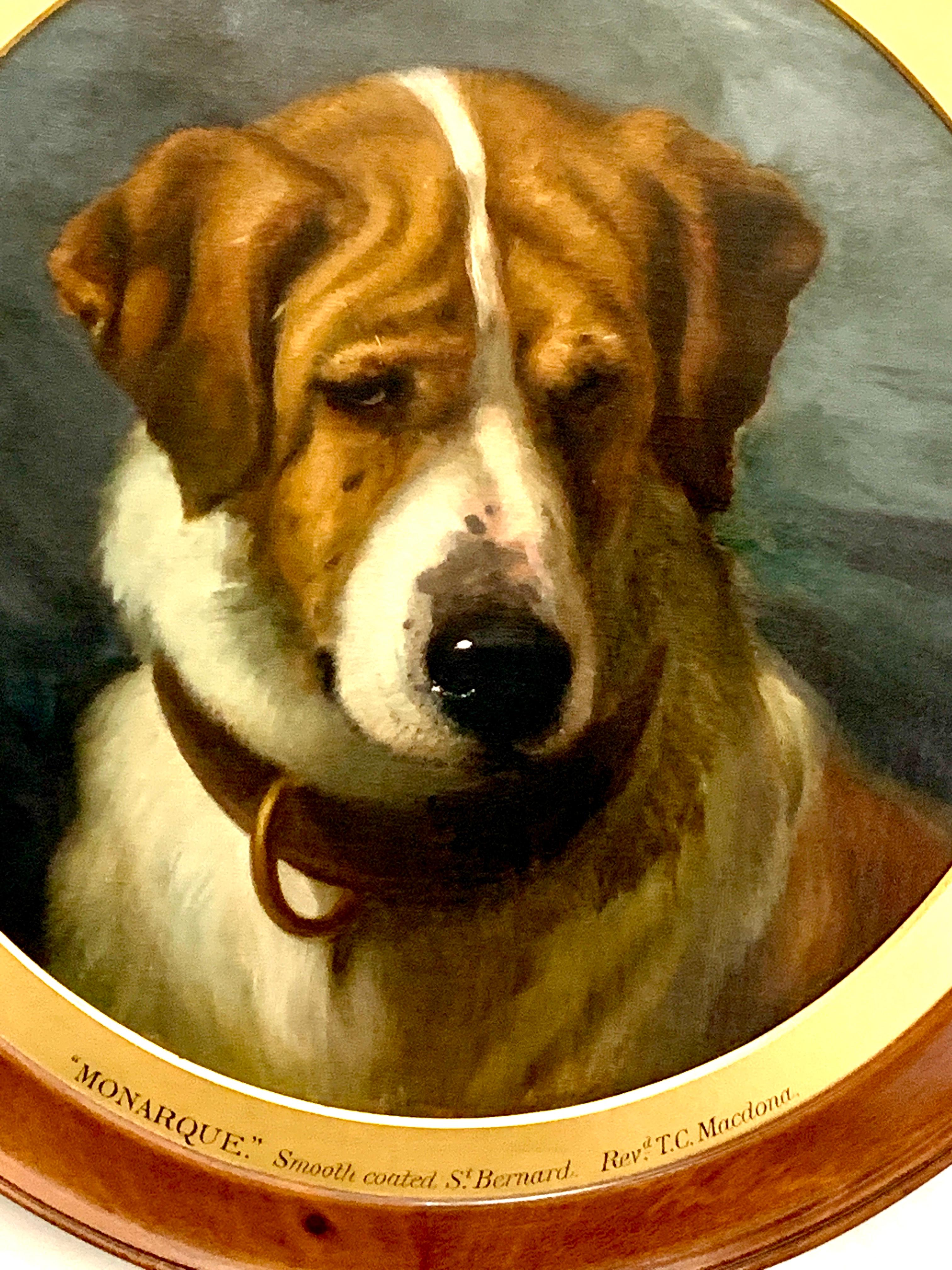 English Victorian 19th century portrait of a smooth coated St.Bernard dog  - Painting by George Earl