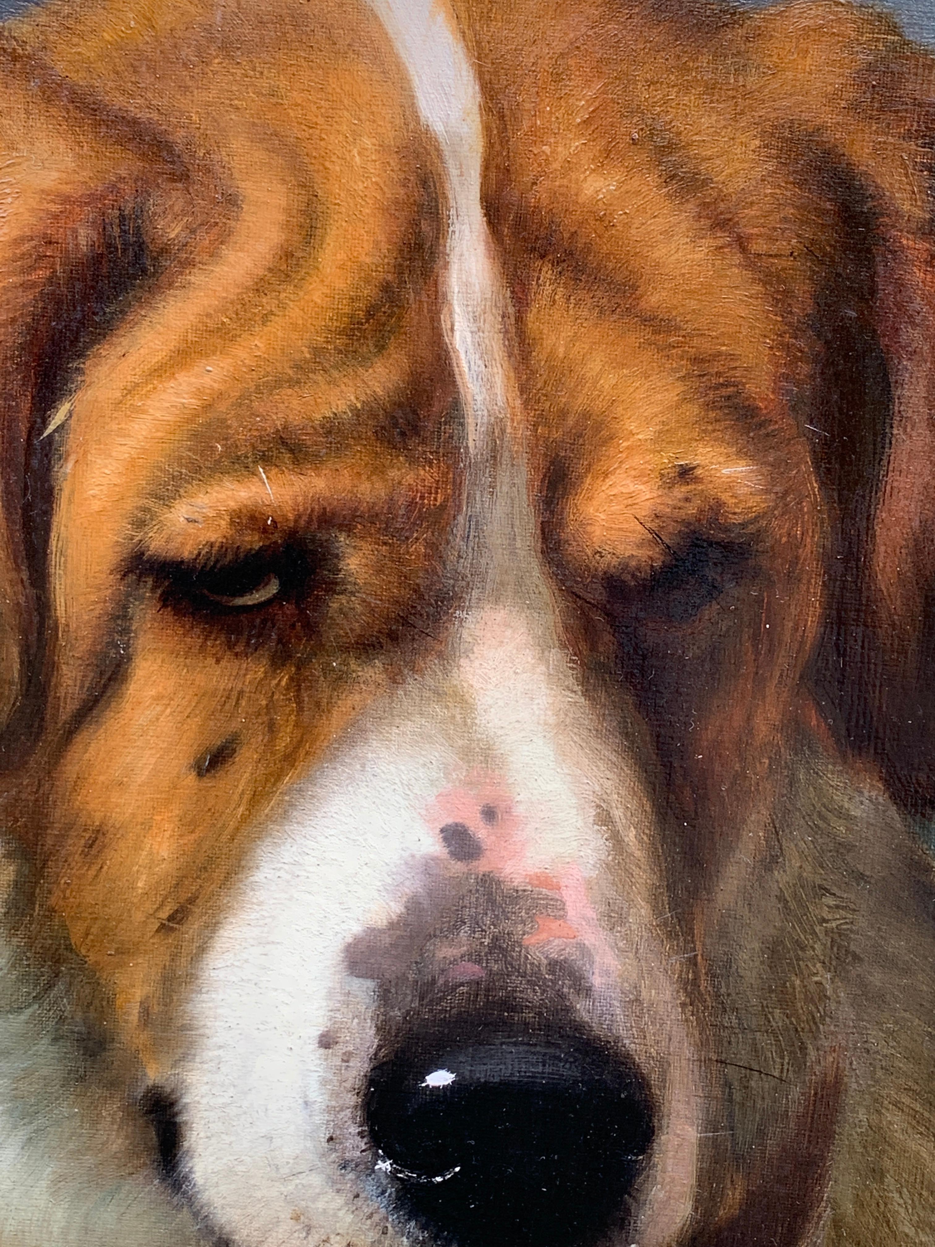 English Victorian 19th century portrait of a smooth coated St.Bernard dog  - Brown Animal Painting by George Earl