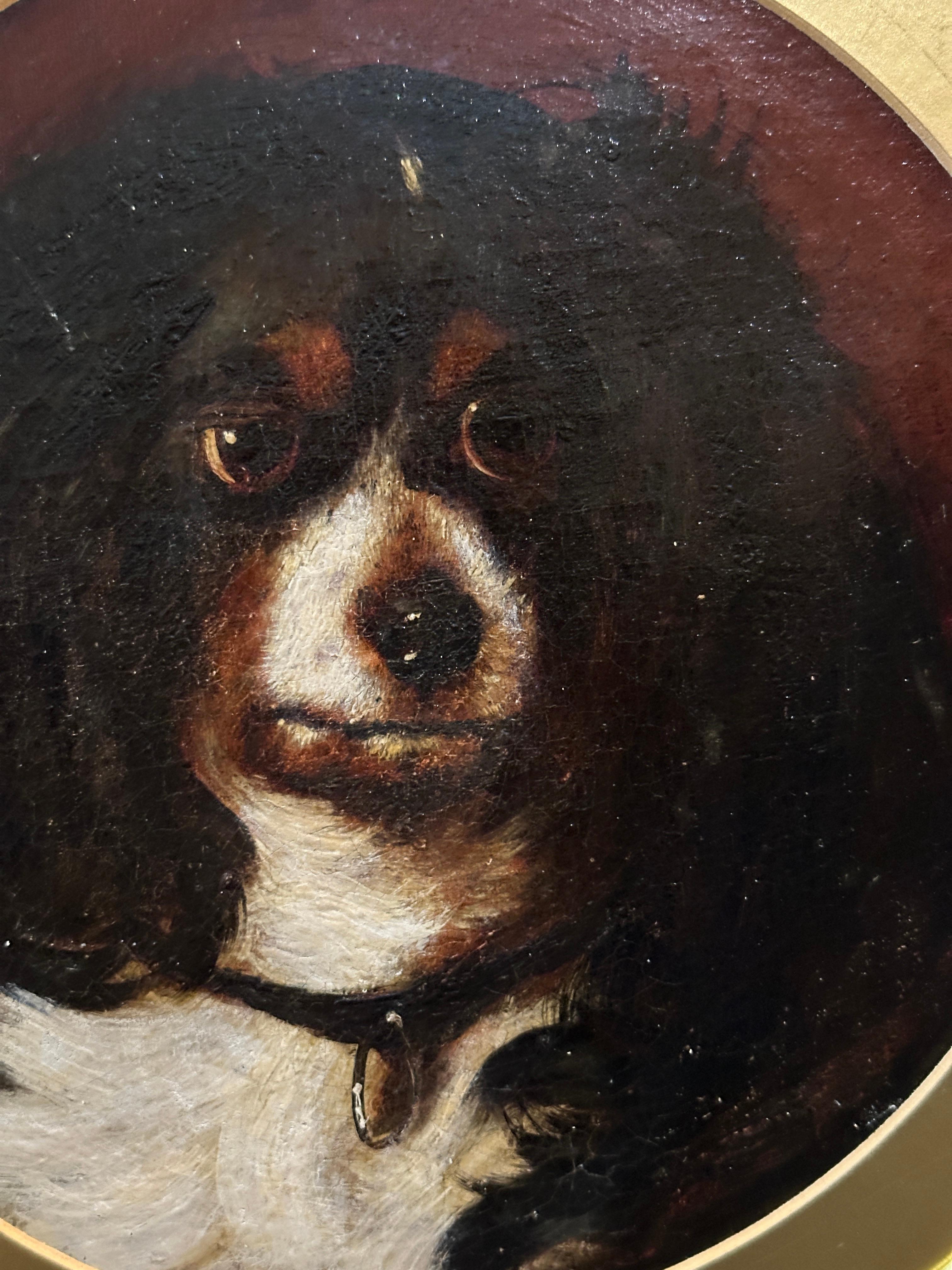 King Charles Cavalier Spaniel, 19th century English portrait of a dogs head - Painting by George Earl