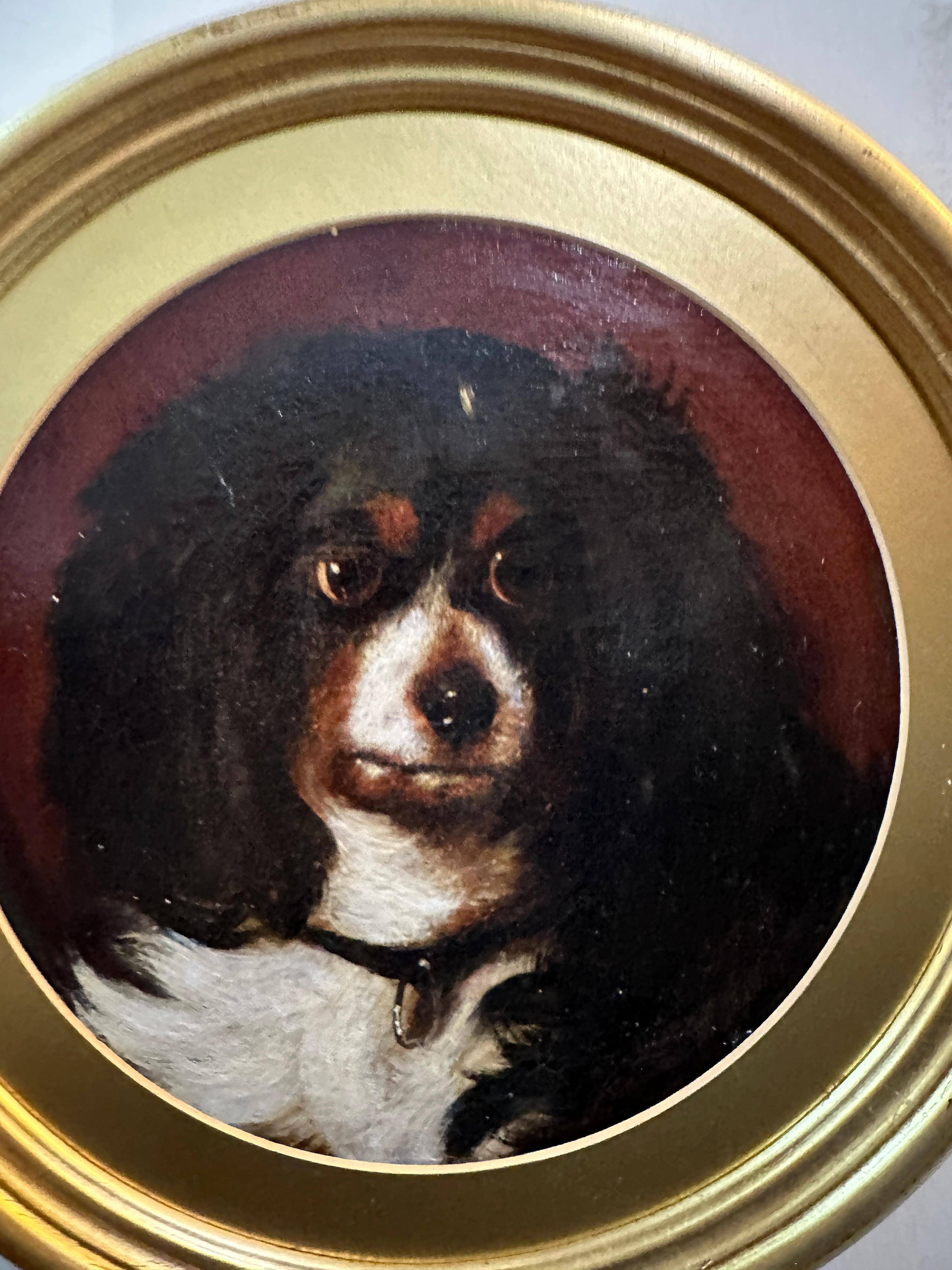 !9th century English portrait of a King Charles Cavalier Spaniel 

Wonderful portrait study of this very popular breed of dog. 

Dating from the middle of the 19th century this piece has all the quality of the traditional English animal painters