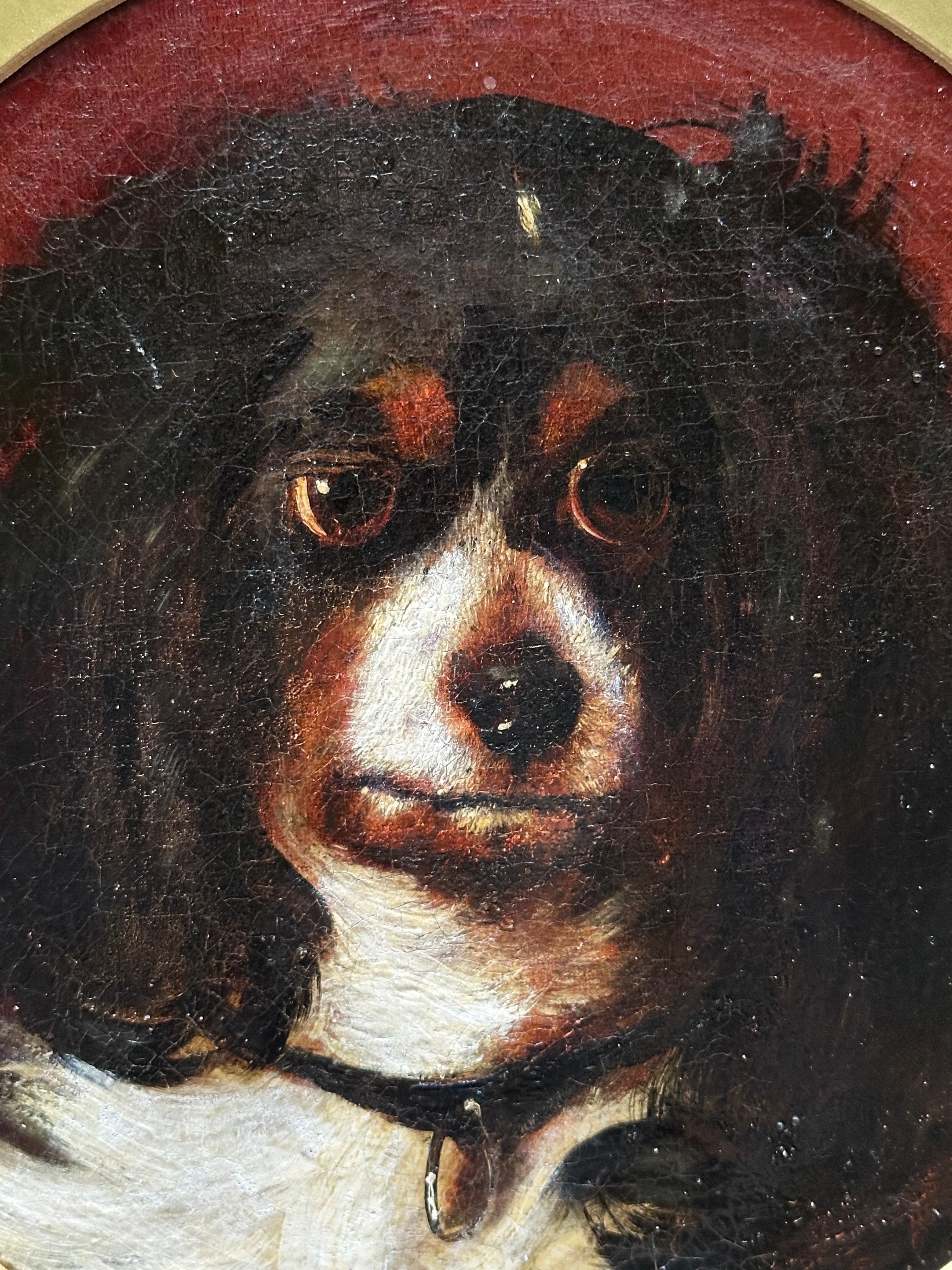 King Charles Cavalier Spaniel, 19th century English portrait of a dogs head - Victorian Painting by George Earl
