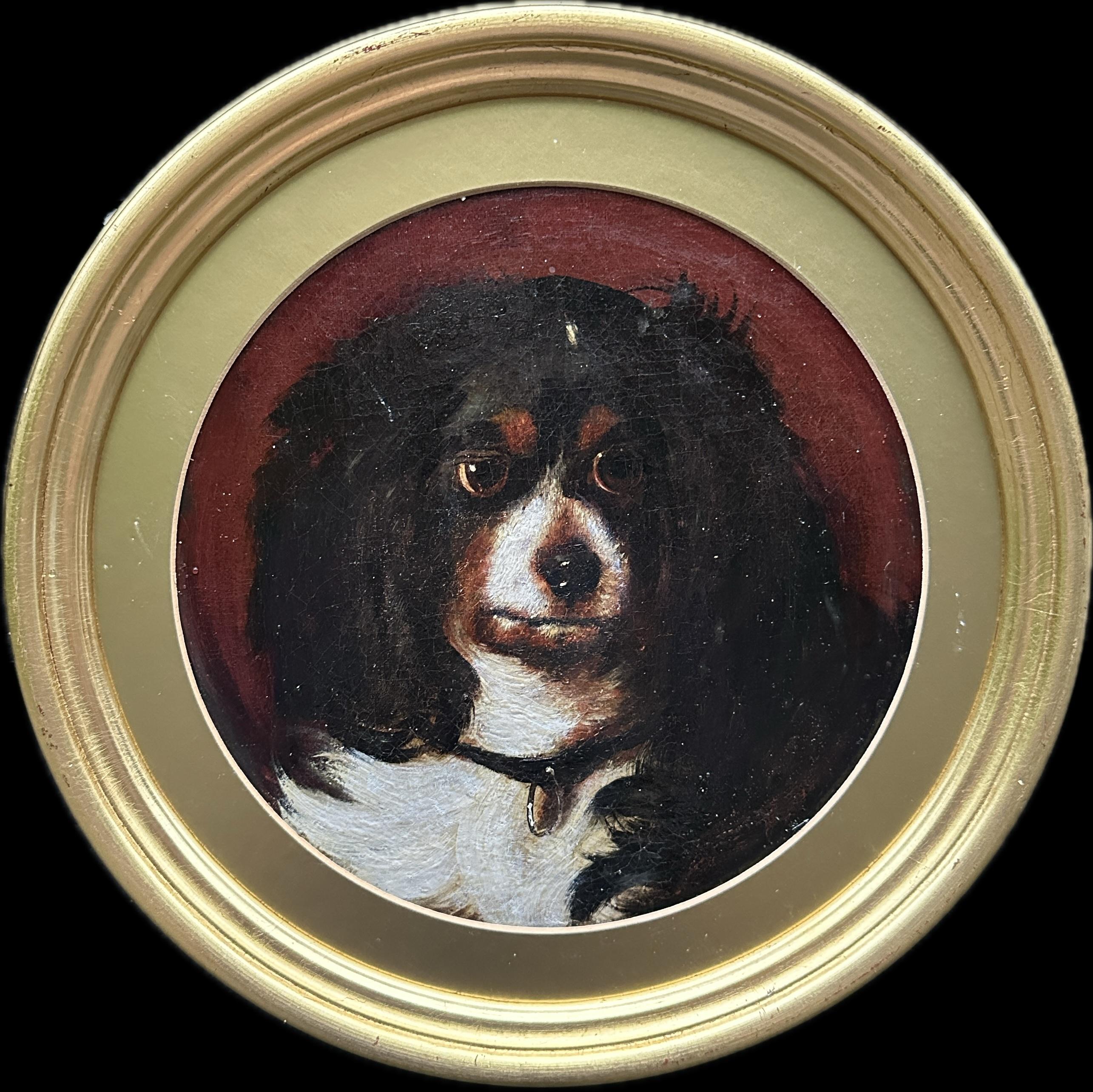 George Earl Animal Painting - King Charles Cavalier Spaniel, 19th century English portrait of a dogs head