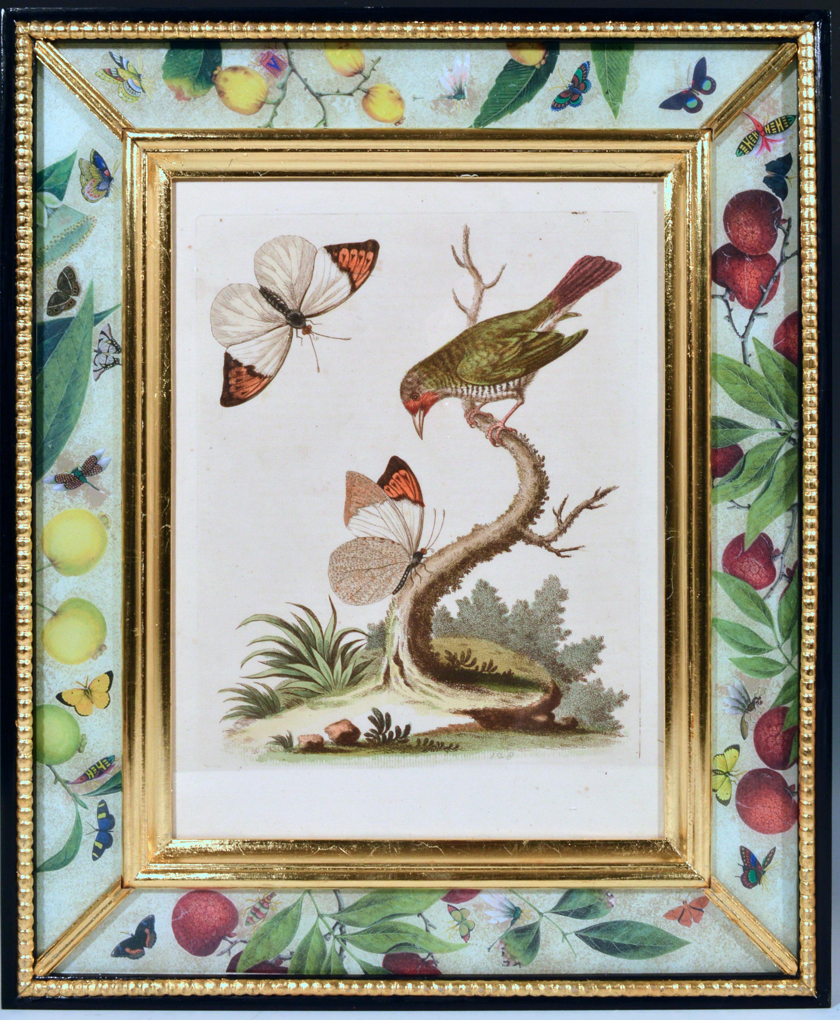 George Edwards Engravings of Birds, Set of Twelve, circa 1740-1760 In Good Condition In Downingtown, PA