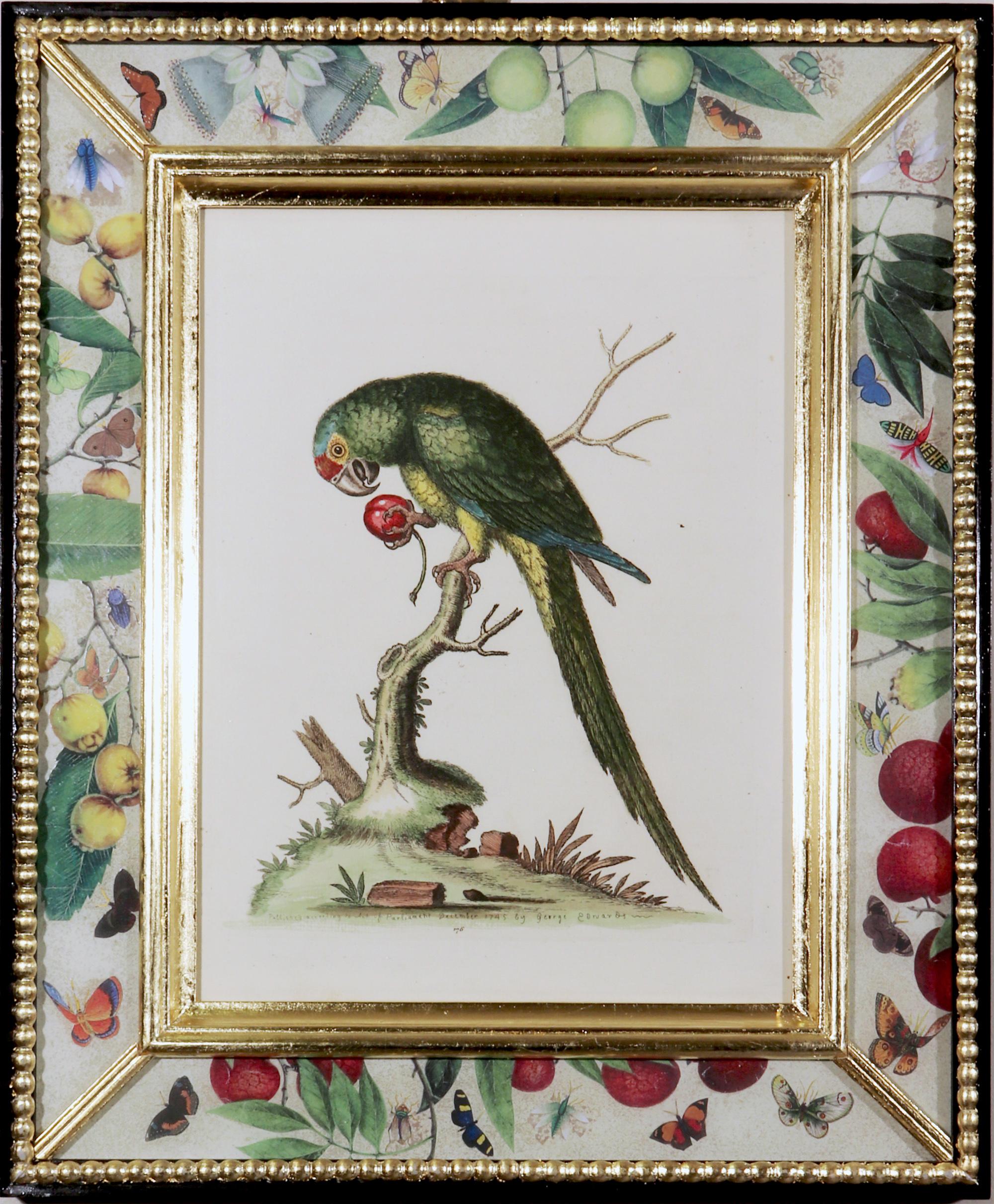 George Edwards prints of parrots with decoupage frames,
The engraver Georg Dionysius Ehret,
Set of six,
circa 1745-1750

The George Edwards engravings of six different parrots are mounted in decoupage frames.

Dimensions: 16 1/4 inches x 13