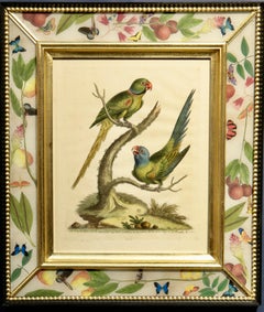 A Natural History of Uncommon Birds, 1743-64