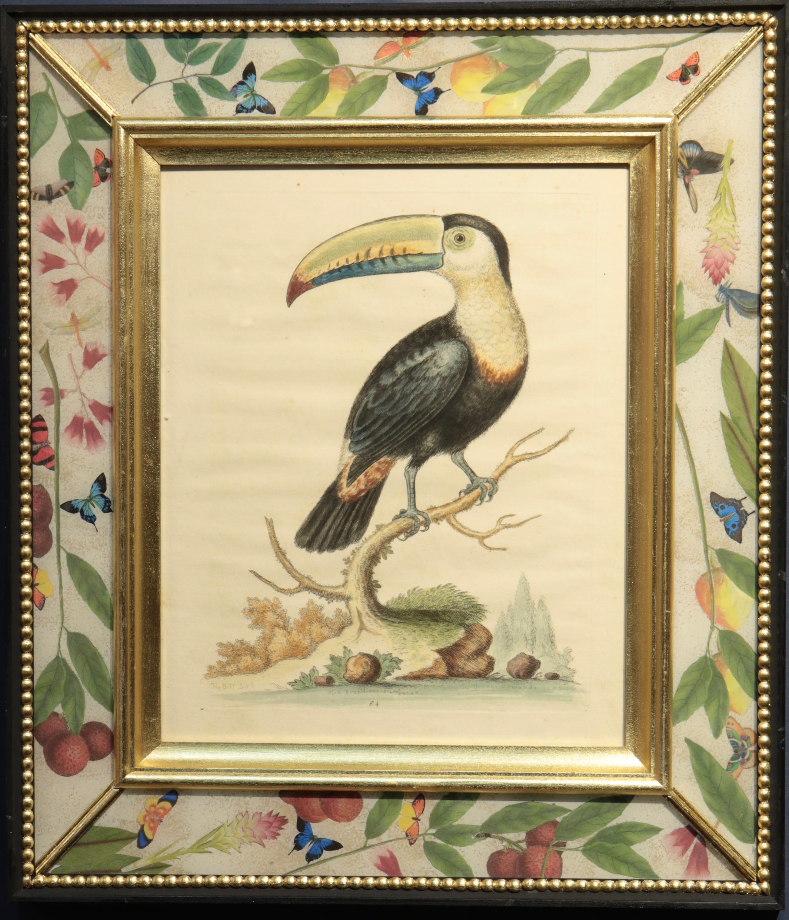 A Natural History of Uncommon Birds, 1743-64 For Sale 2