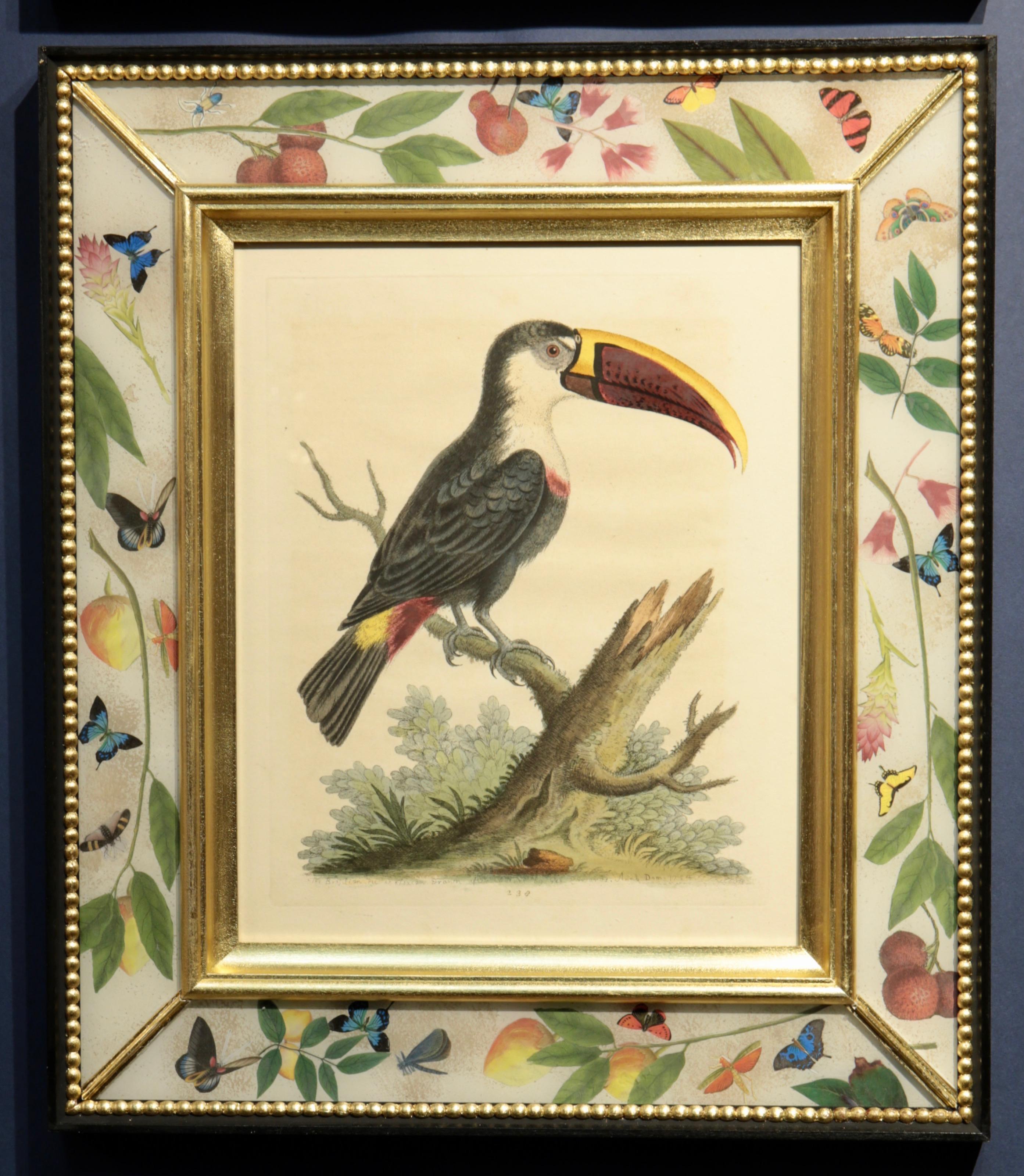 A Natural History of Uncommon Birds, 1743-64 For Sale 3