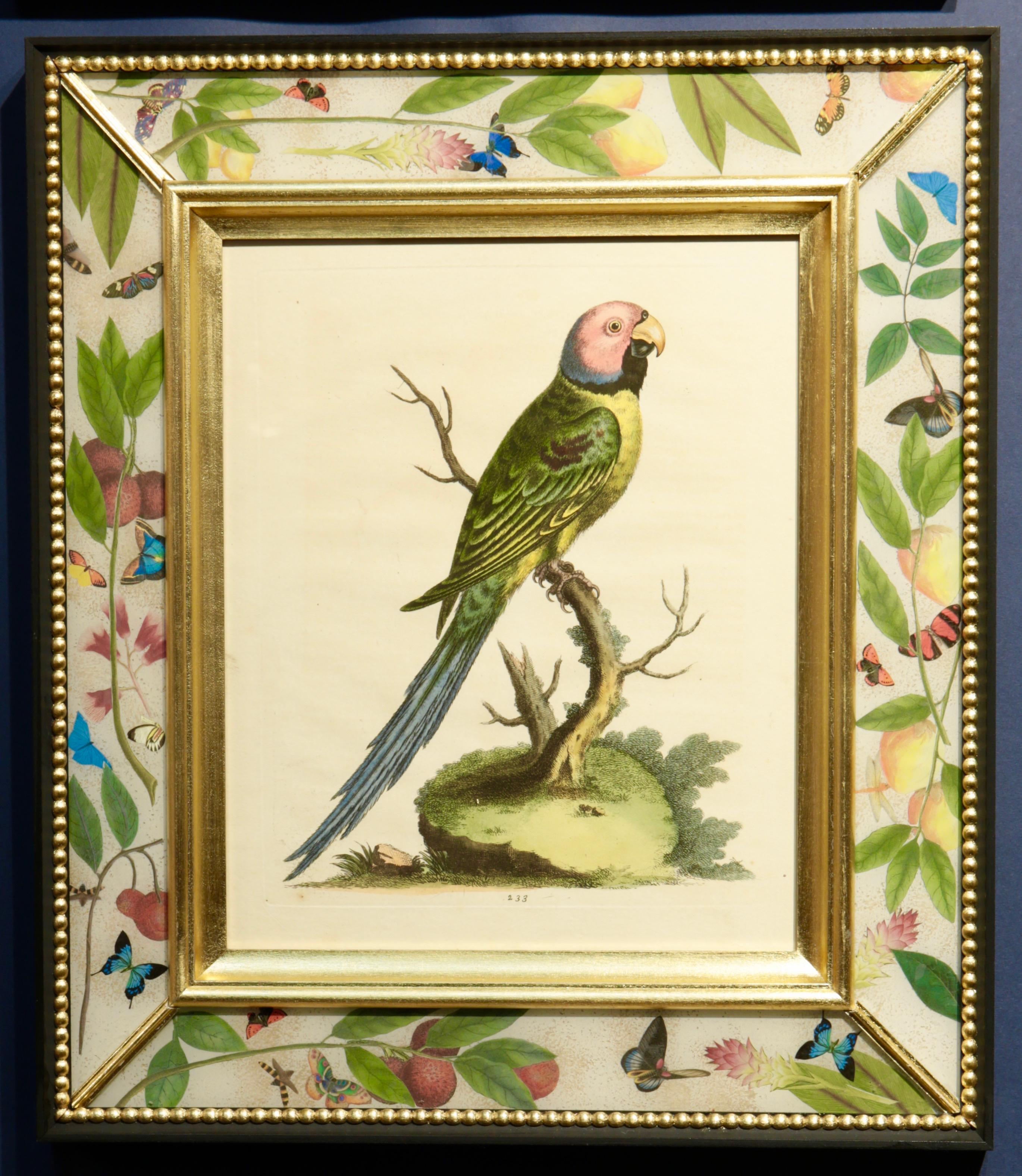 A Natural History of Uncommon Birds, 1743-64 For Sale 4