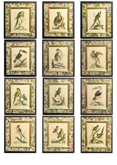 A Natural History of Uncommon Birds, 1743-64