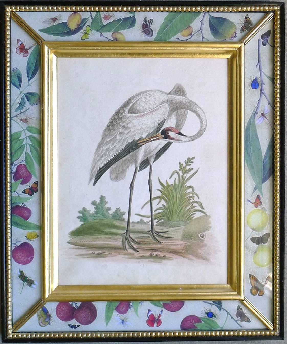 George Edwards Set of Twelve Bird Engravings, circa 1740 In Excellent Condition In Downingtown, PA