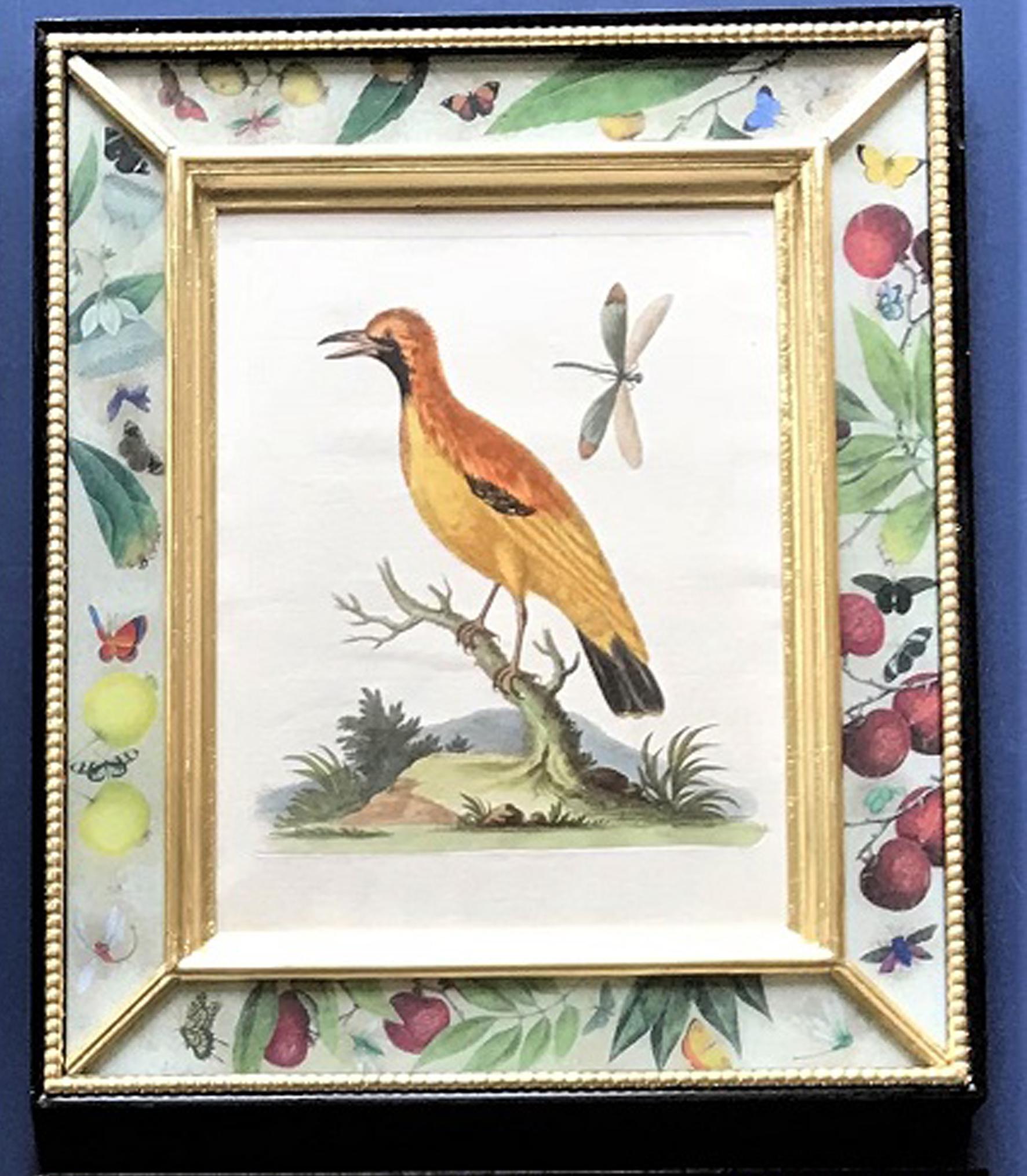 George Edwards Set of Twelve Engravings of Birds, circa 1740-1760 In Good Condition In Downingtown, PA